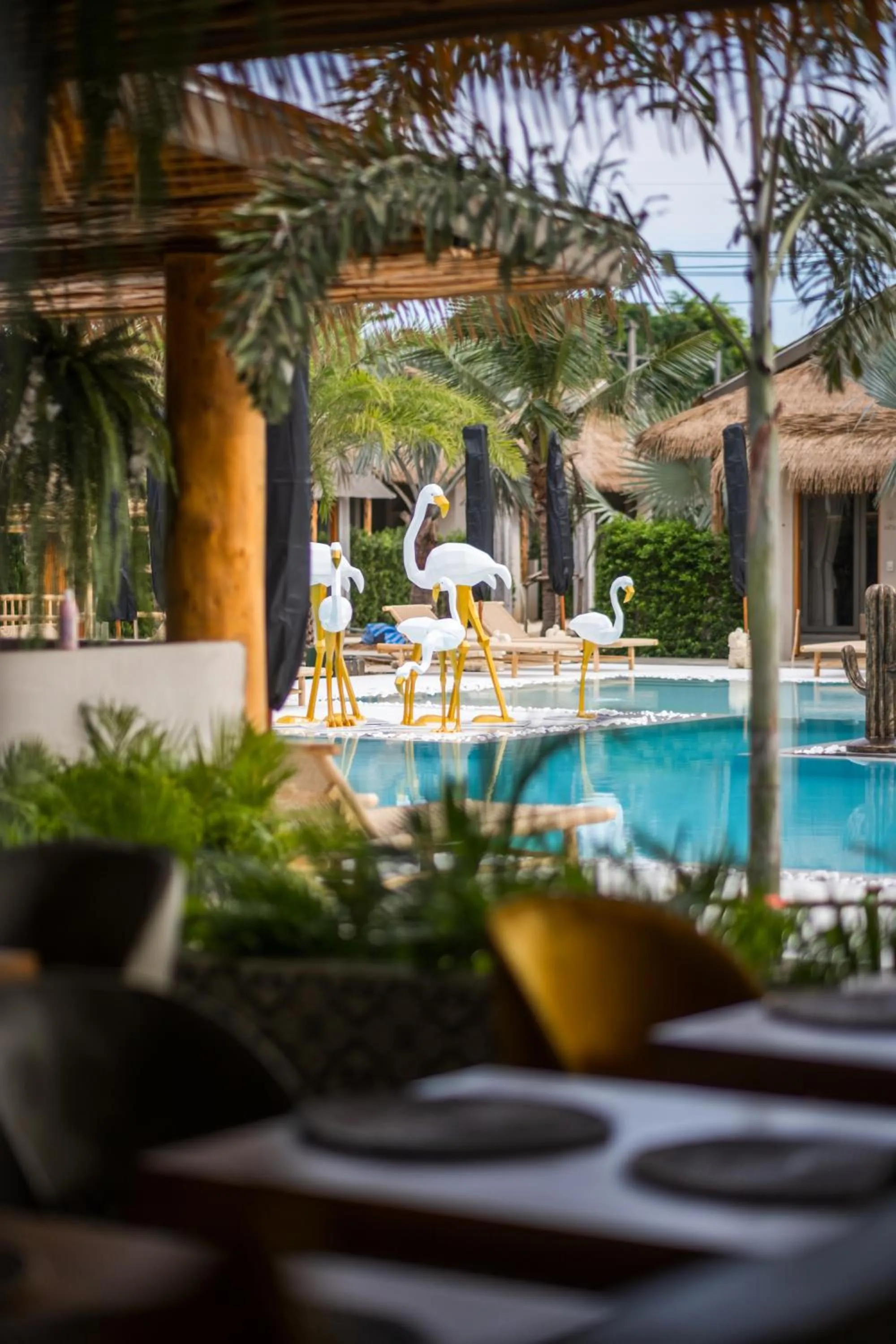 Swimming pool in The Deck Cottages Samui