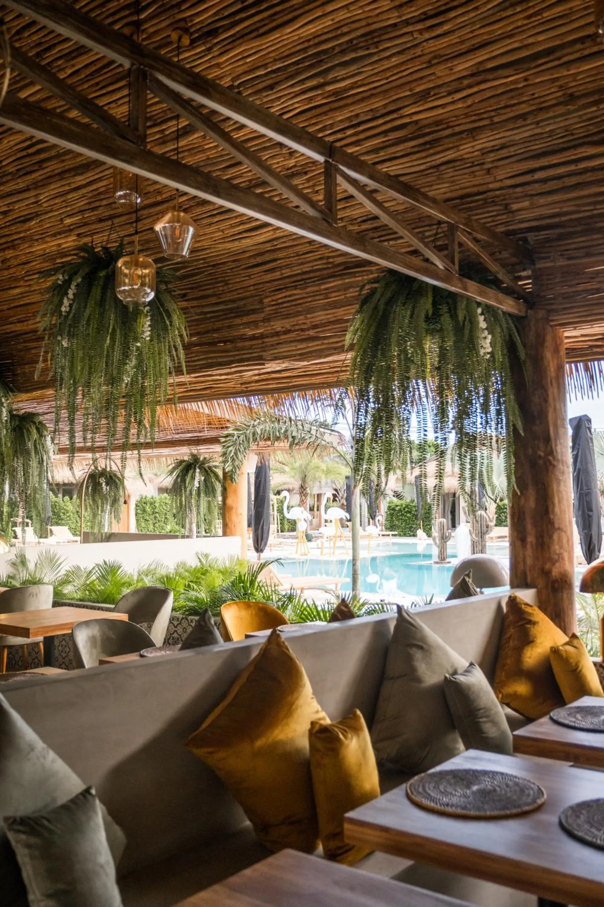 Restaurant/places to eat in The Deck Cottages Samui