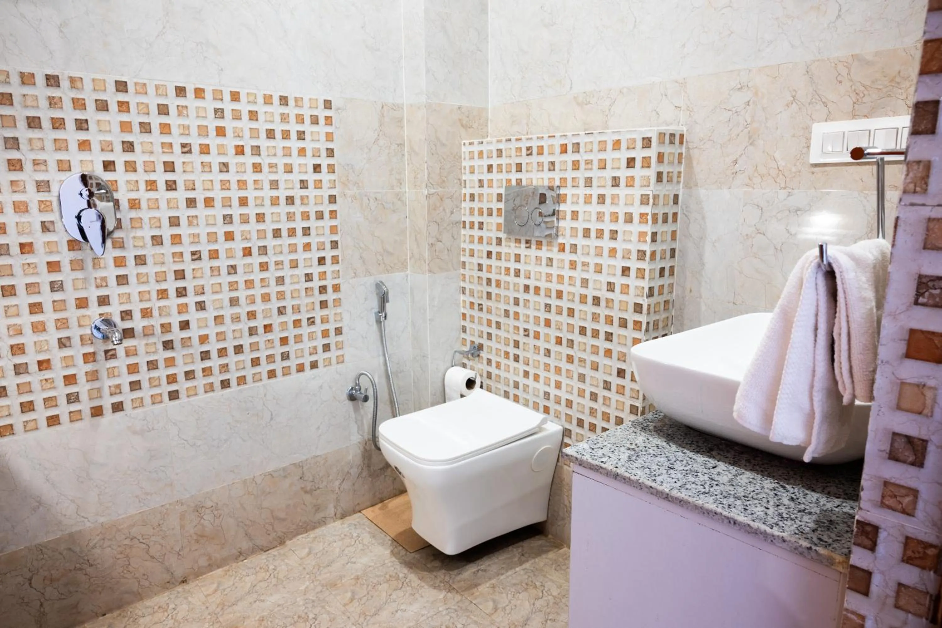 Hotel Sagar Residency - Best Mountain View Hotel in Palampur