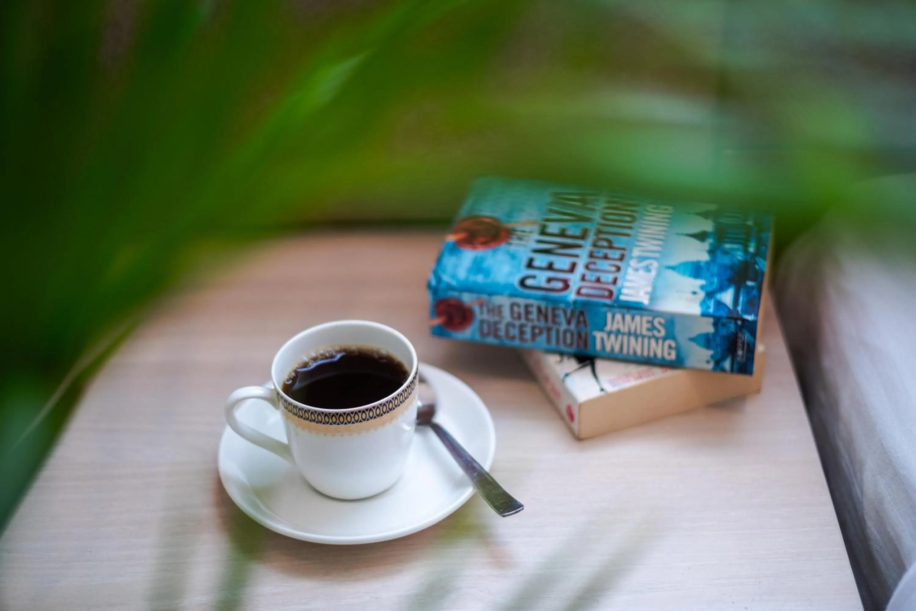 Hotel Sagar Residency - Best Mountain View Hotel in Palampur