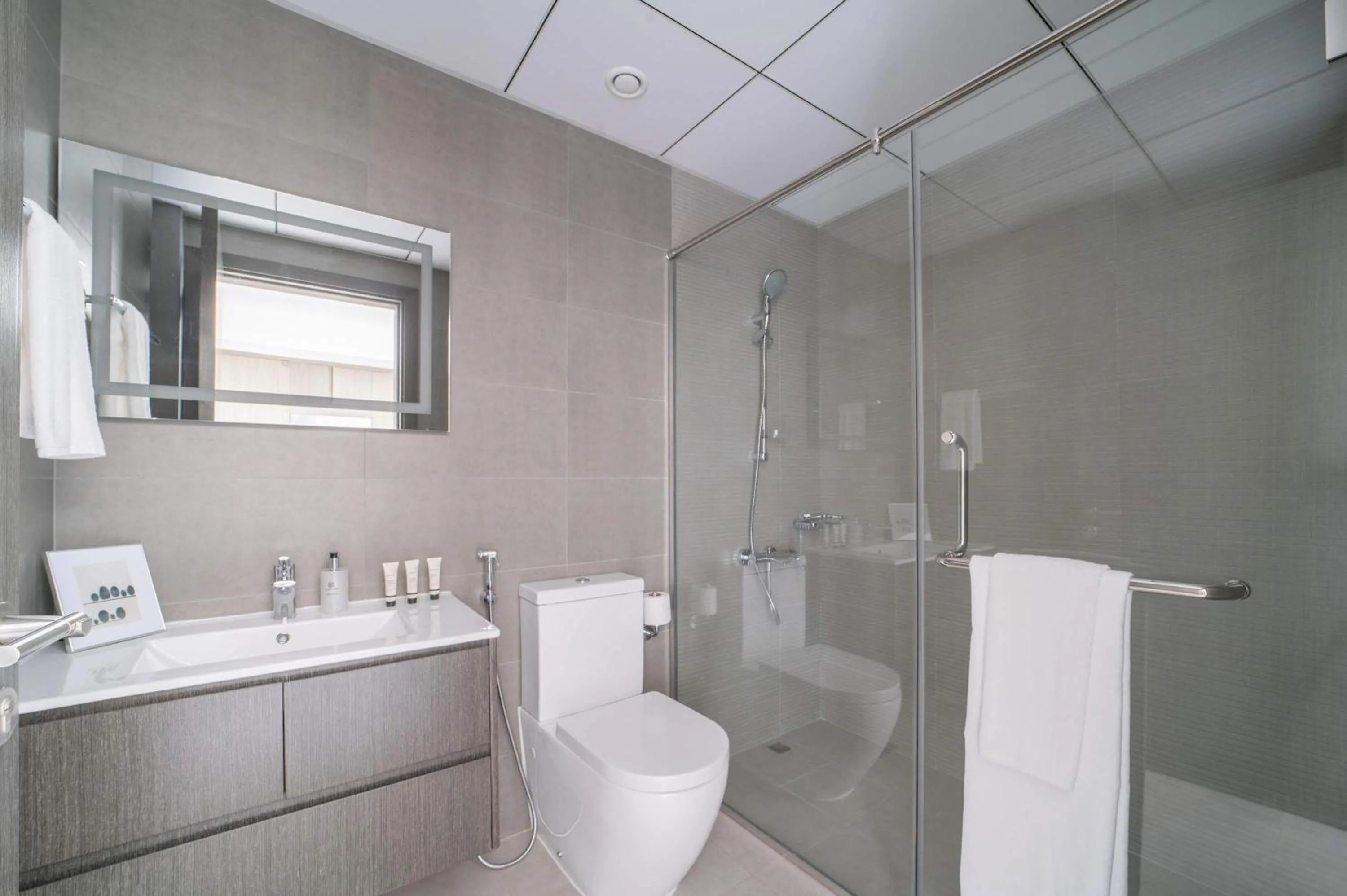 Frank Porter - Bella Rose