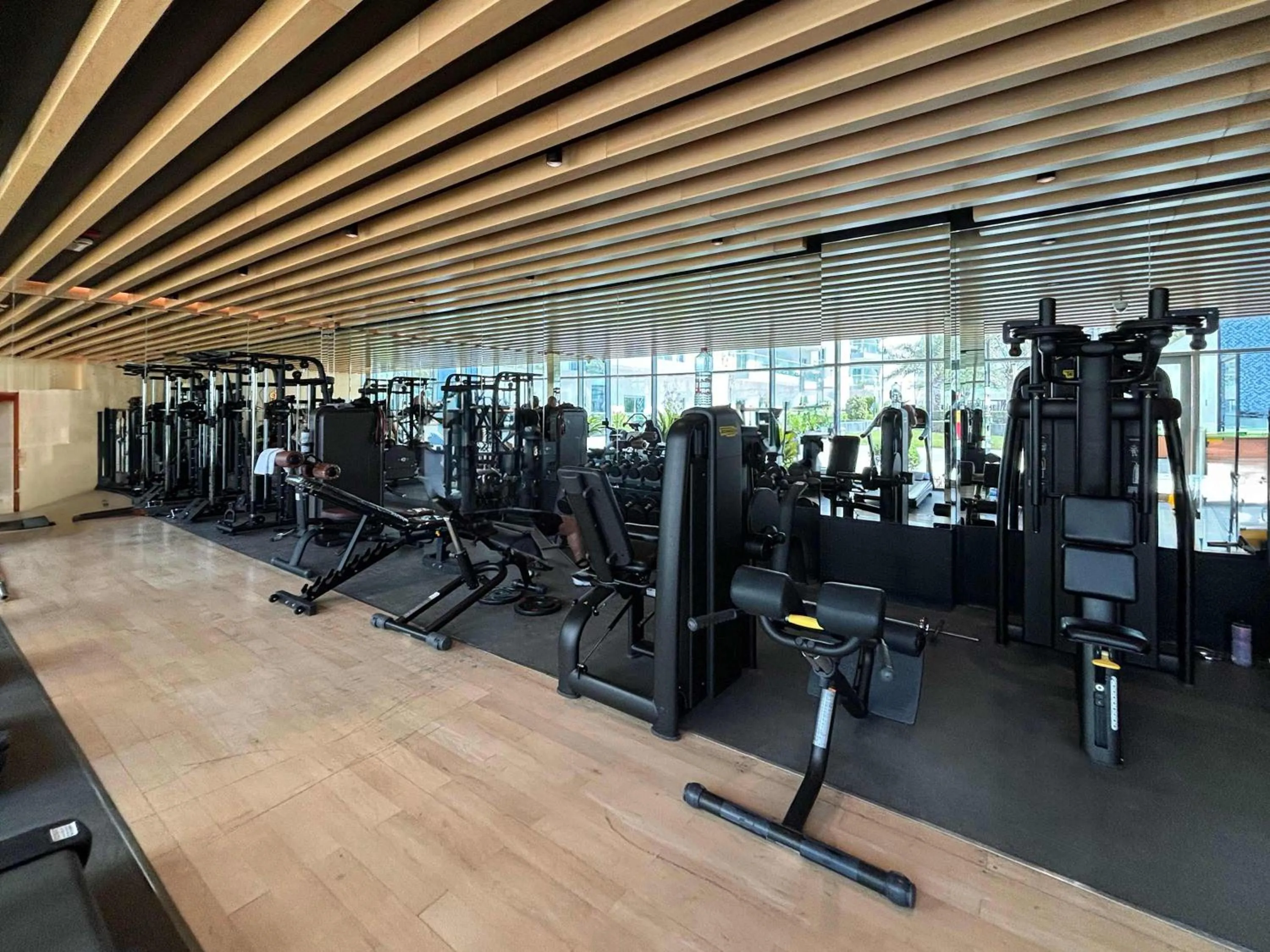 Frank Porter - Bella Rose