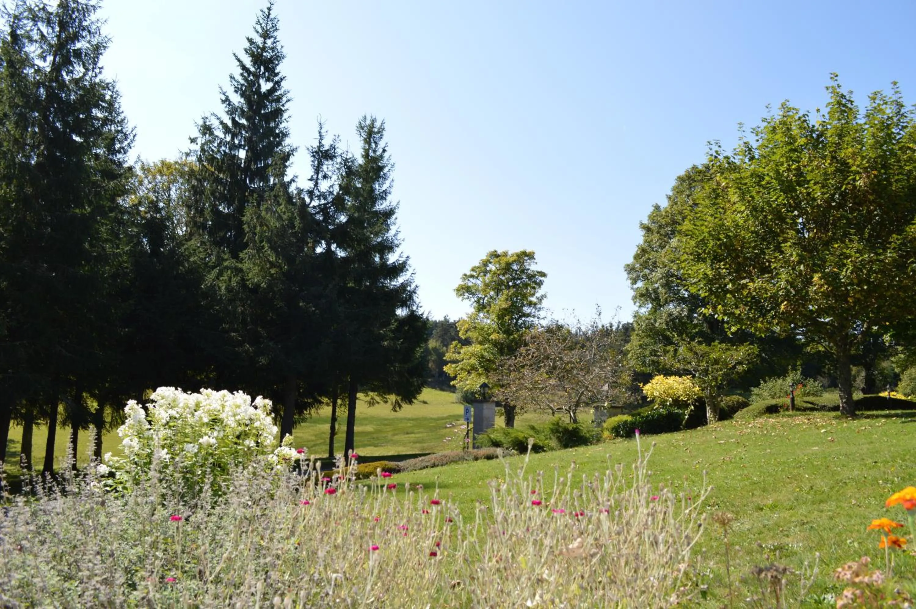 Garden view in Logis Hôtel Le Relais du Bois Vialotte