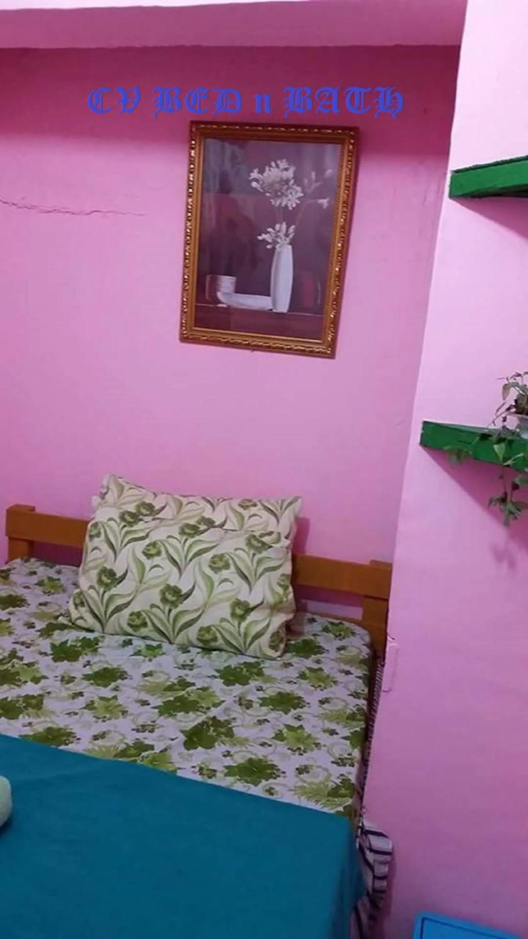 Bed in CV Bed n Bath