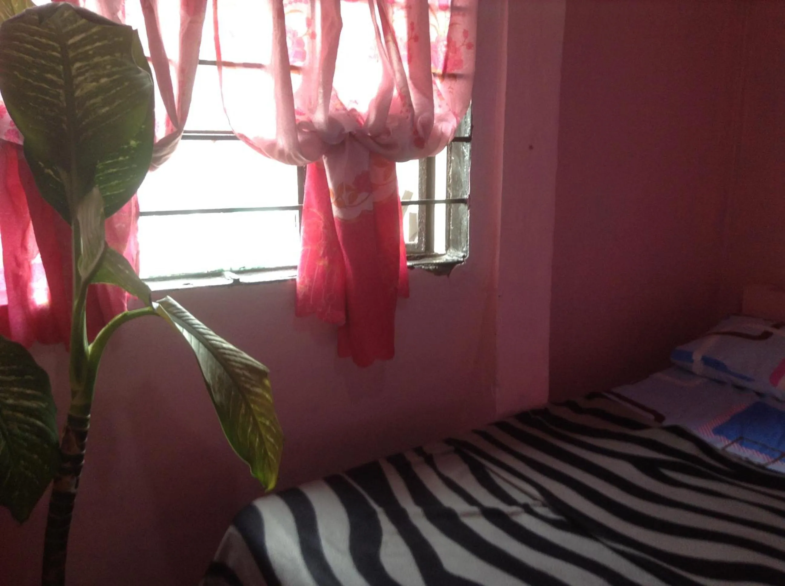 View (from property/room), Bed in CV Bed n Bath