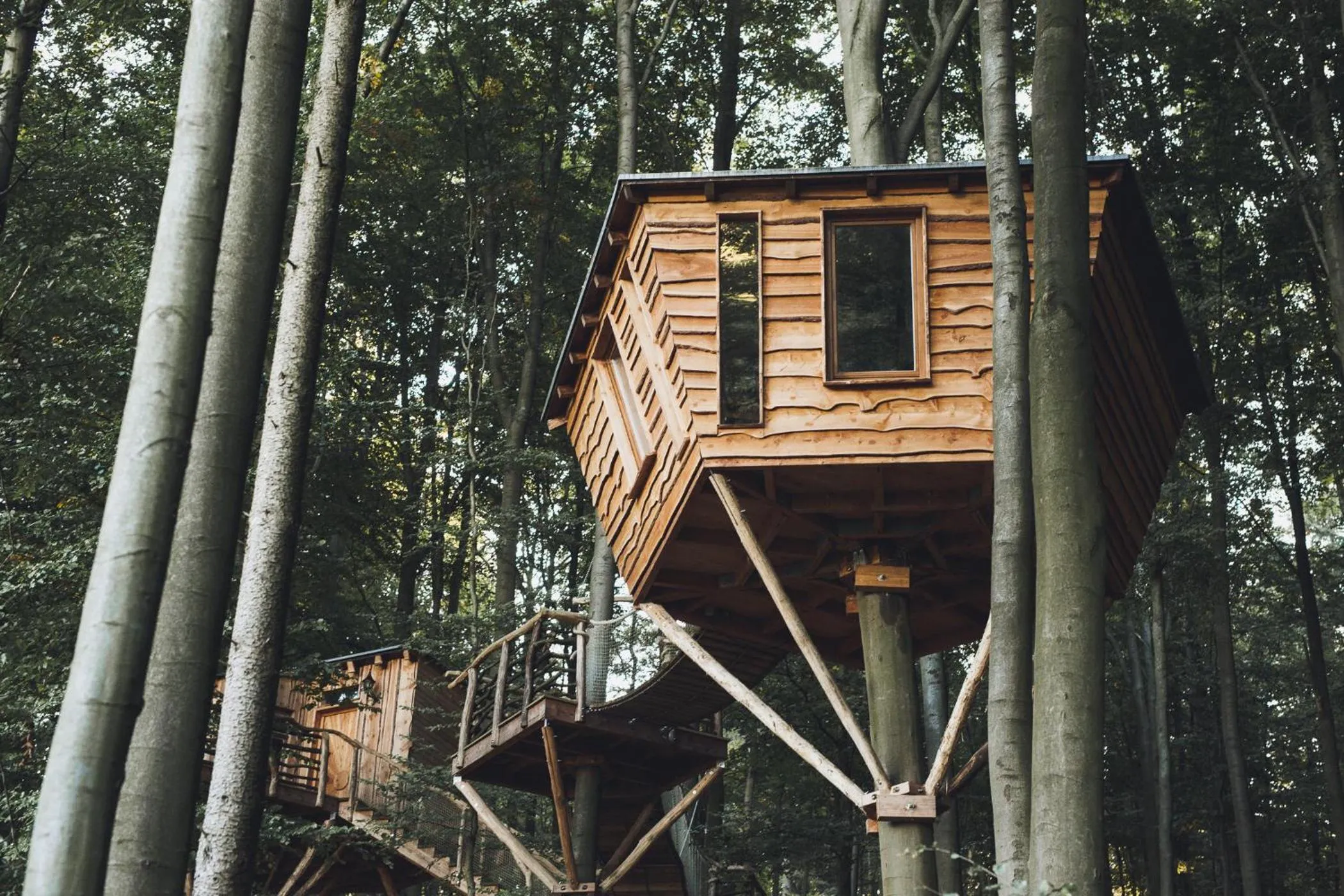 Baumhaushotel Robins Nest