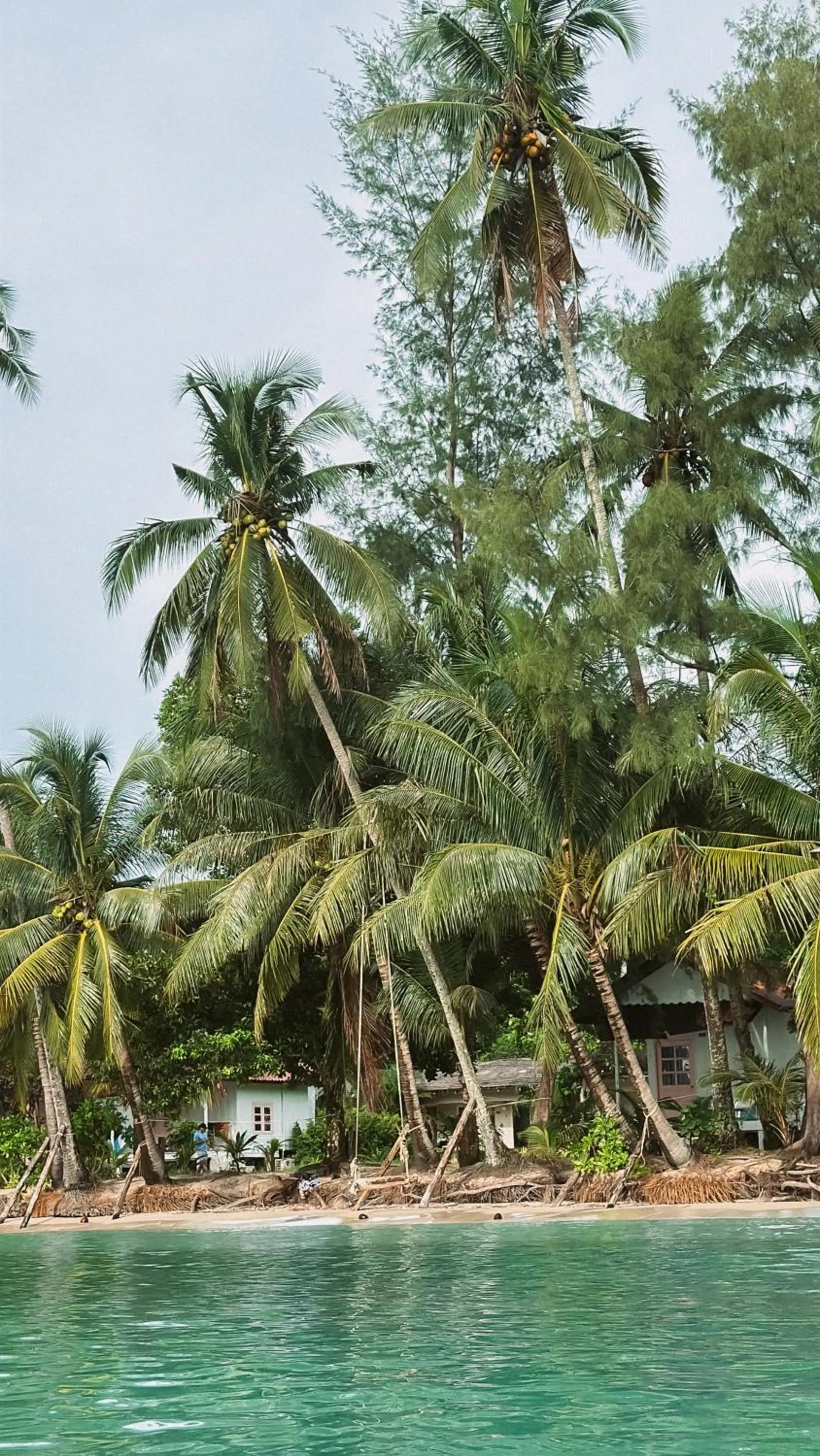 Natural landscape in Kood Life