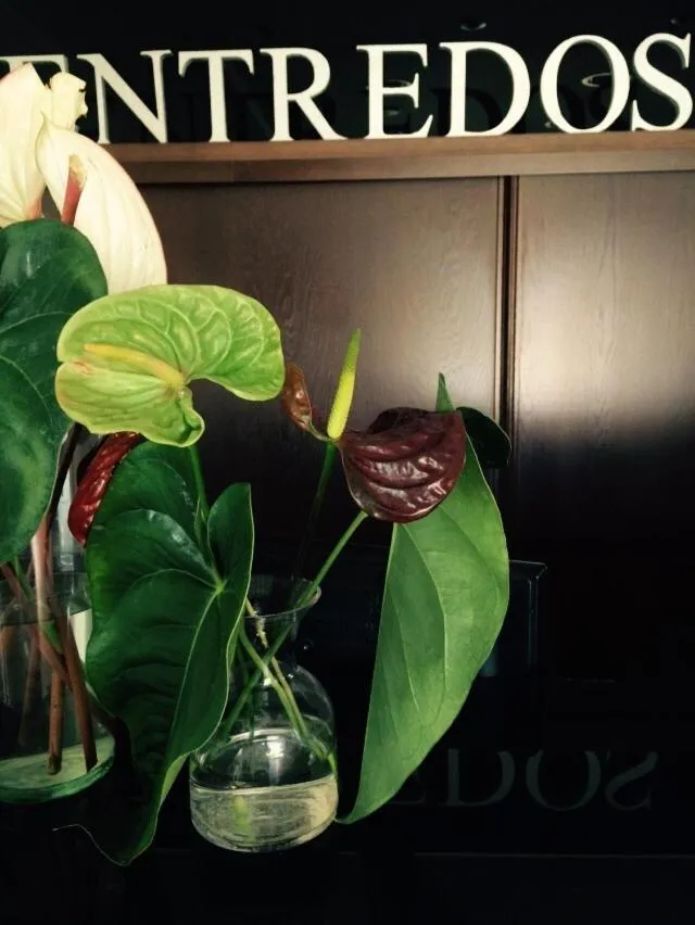 Lobby or reception in Hotel Entredos