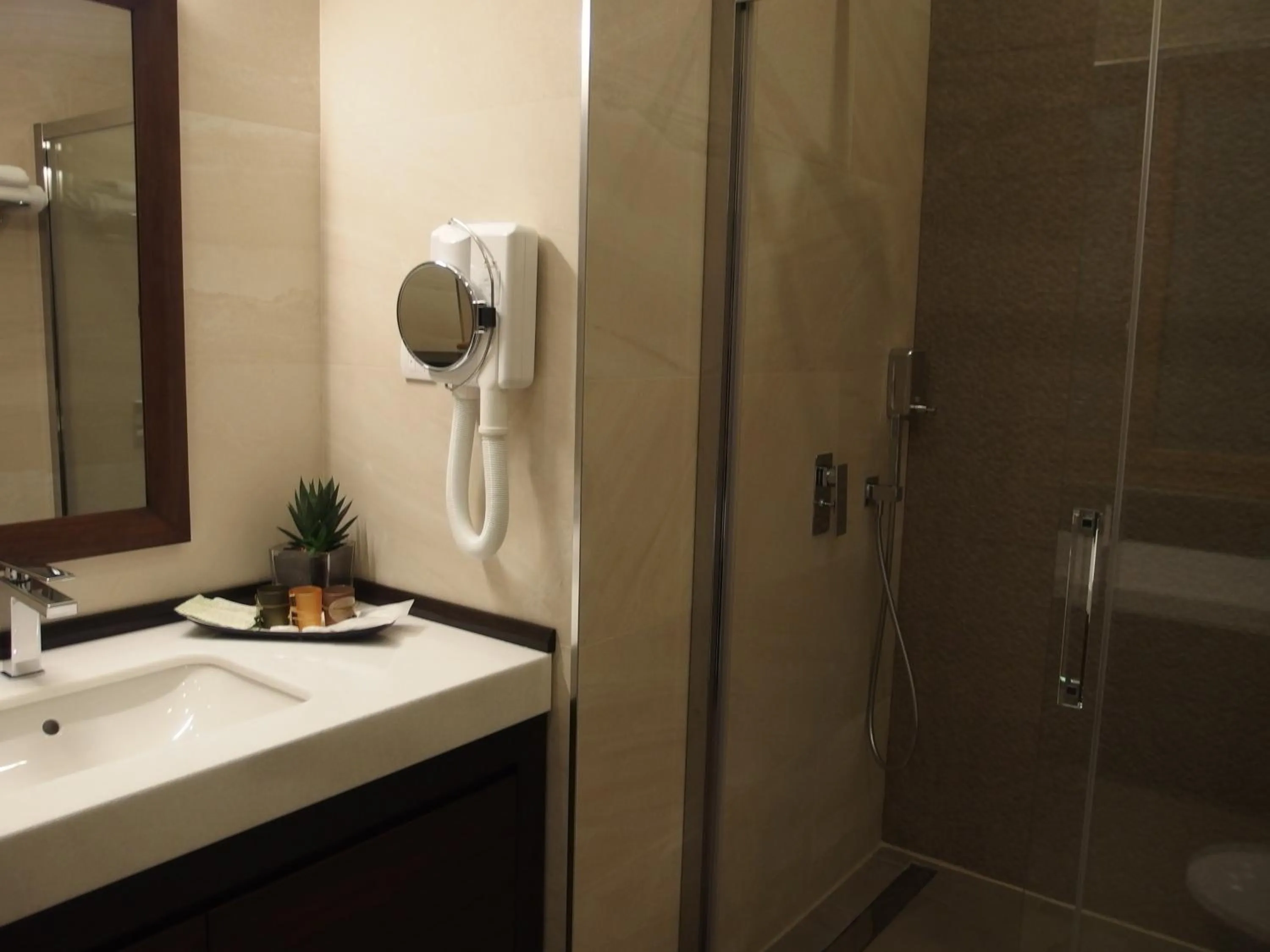 Shower in Belgreat Premium Suites