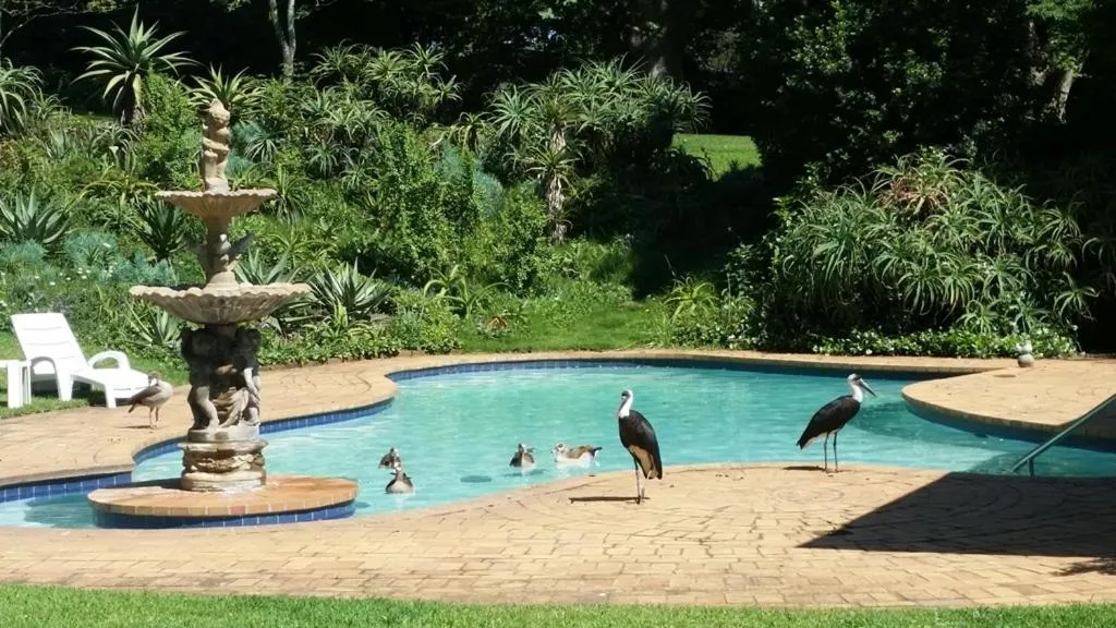 Day in 18 Pioneer BnB