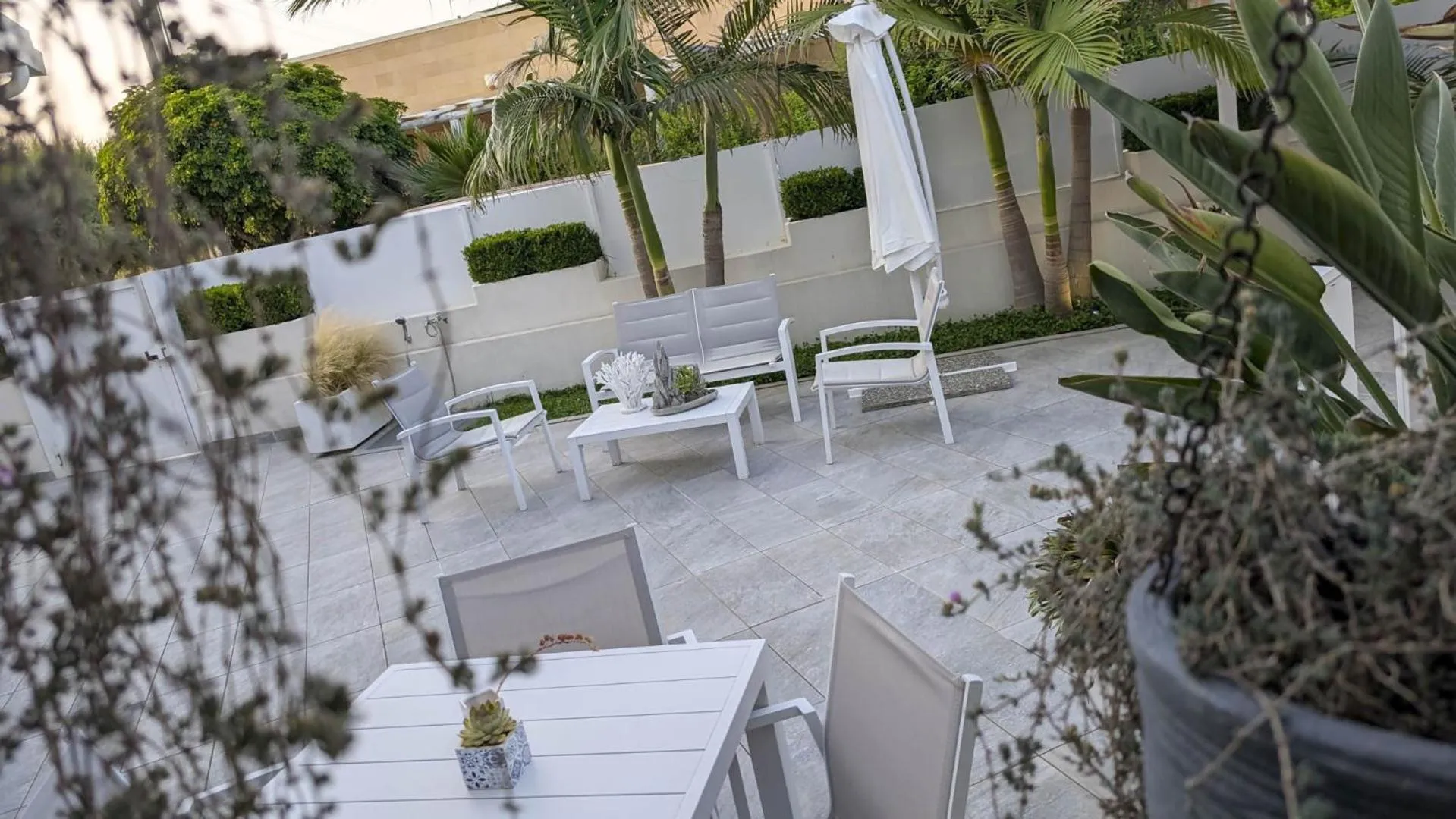 Arneo Terra del Sole