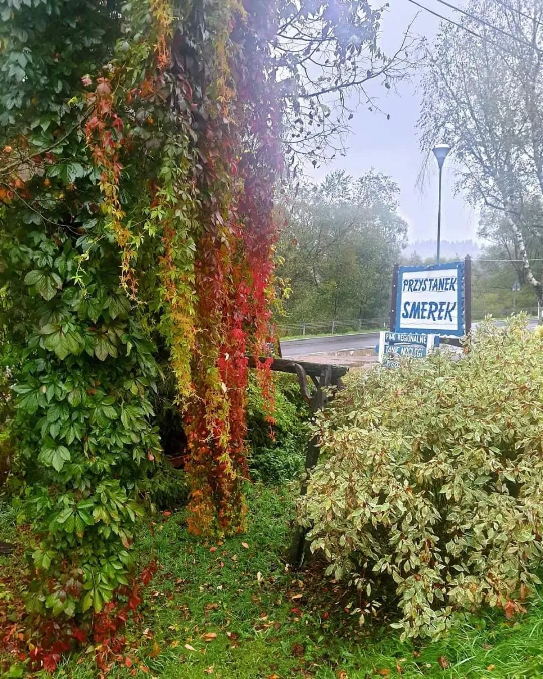 Przystanek Smerek