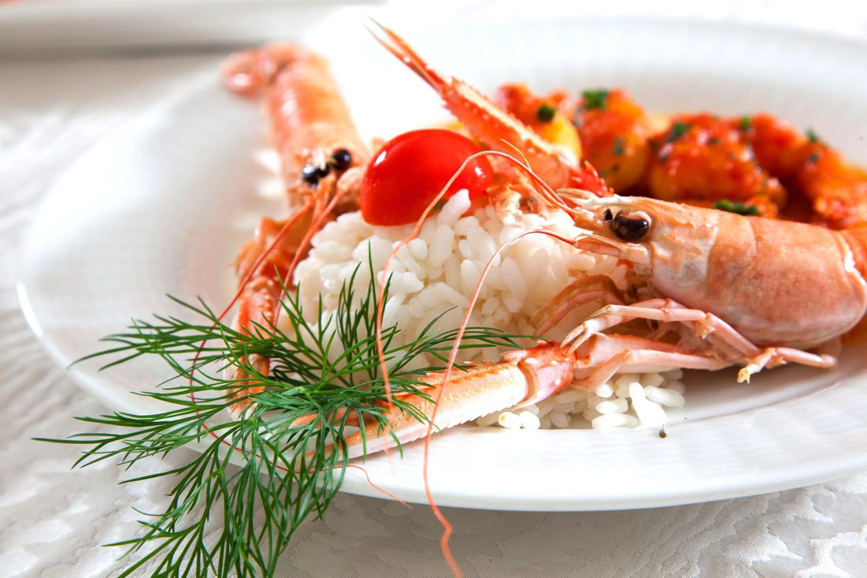 Restaurant/places to eat in Hotel Terme Abano Verdi