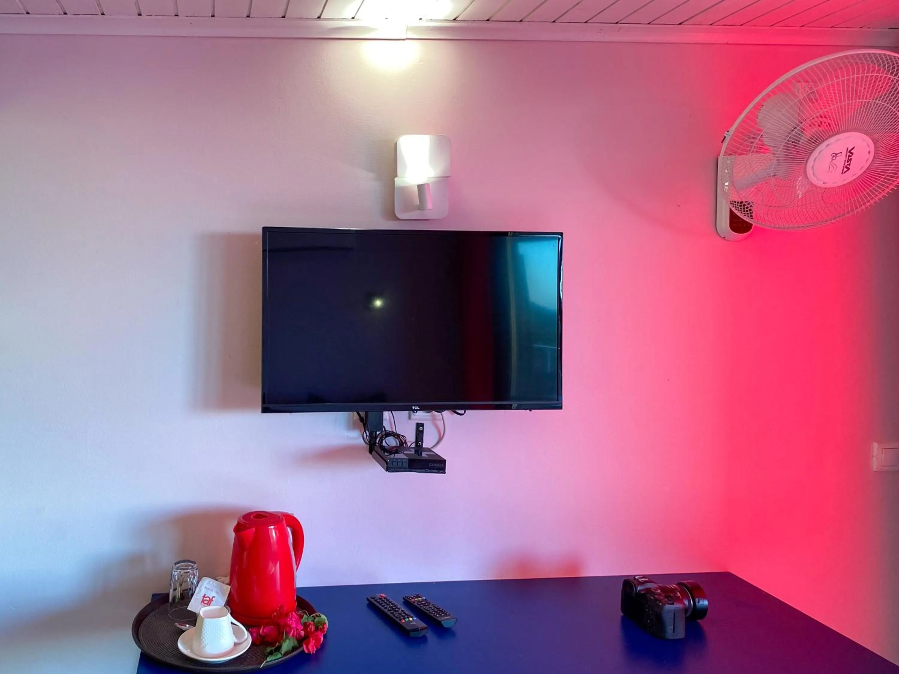 TV and multimedia in Hôtel Villa Les Orchidées