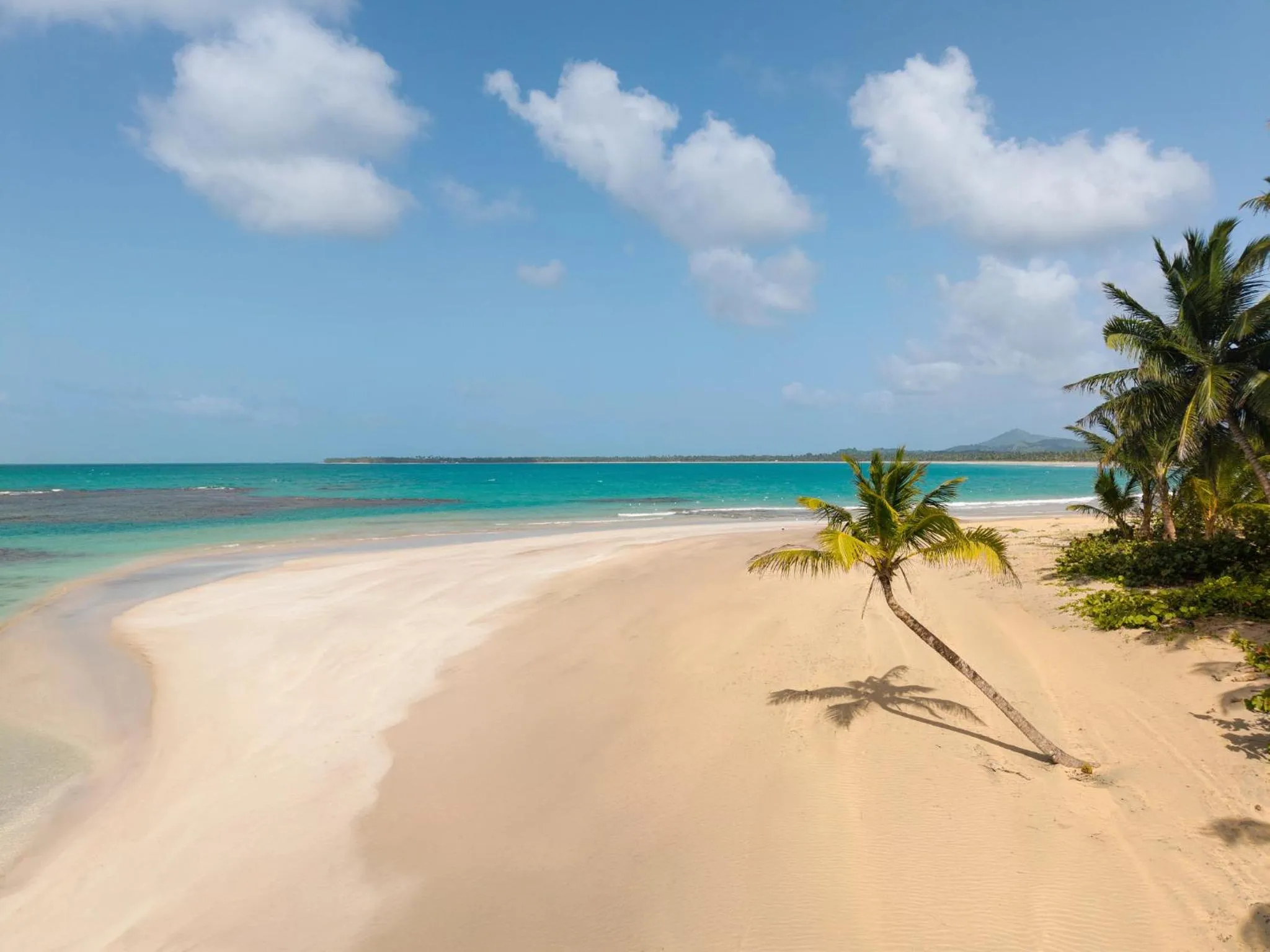 Natural landscape in Dreams Playa Esmeralda Resort & Spa - All Inclusive