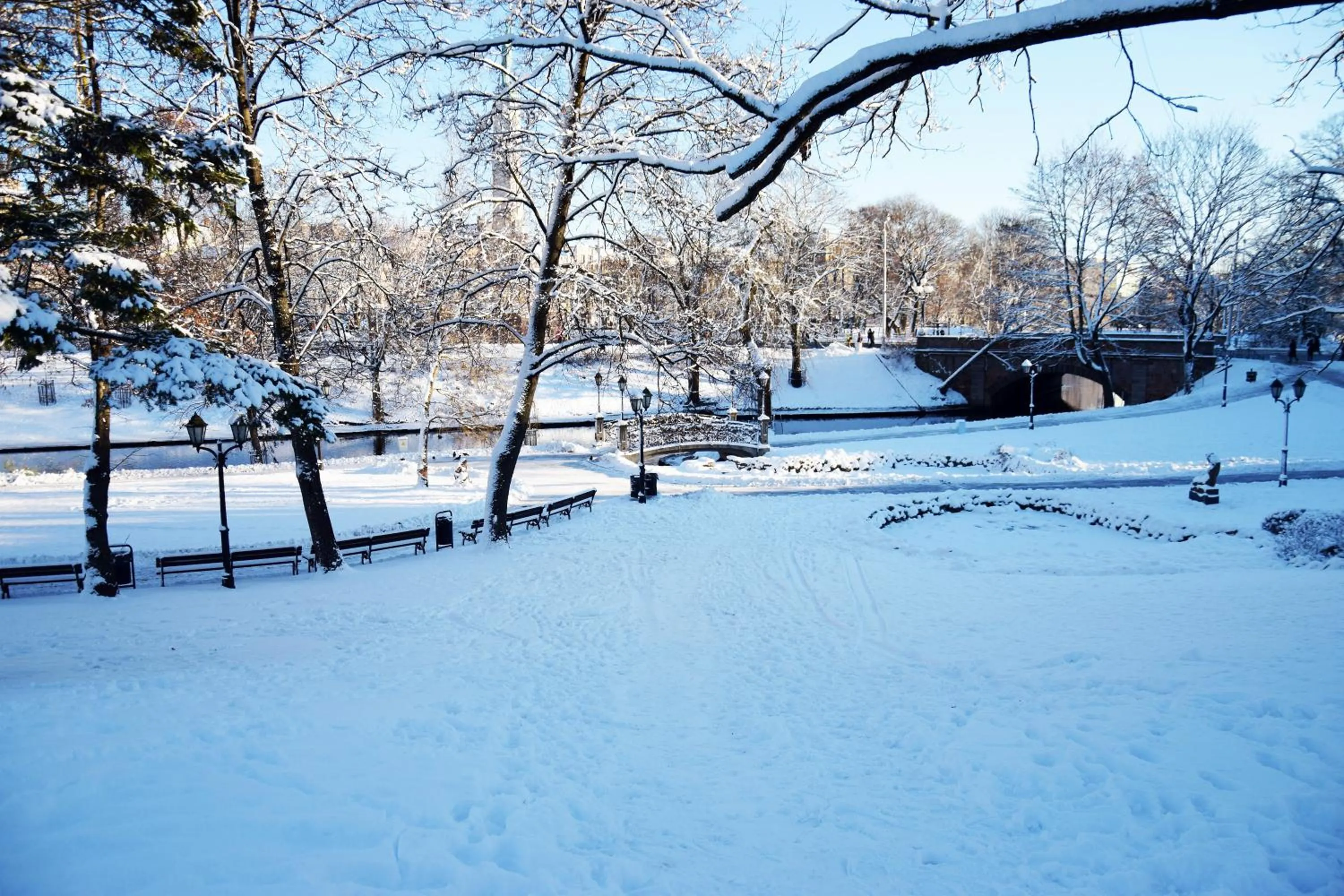 Garden in Liberty Airy