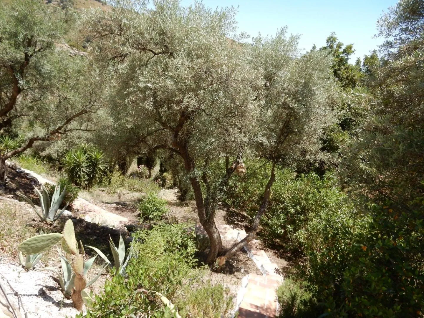 Bed and Breakfast Lagabella