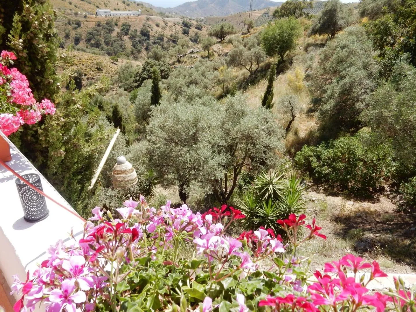 Bed and Breakfast Lagabella