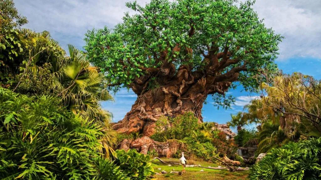 Disney's Animal Kingdom Villas - Jambo House