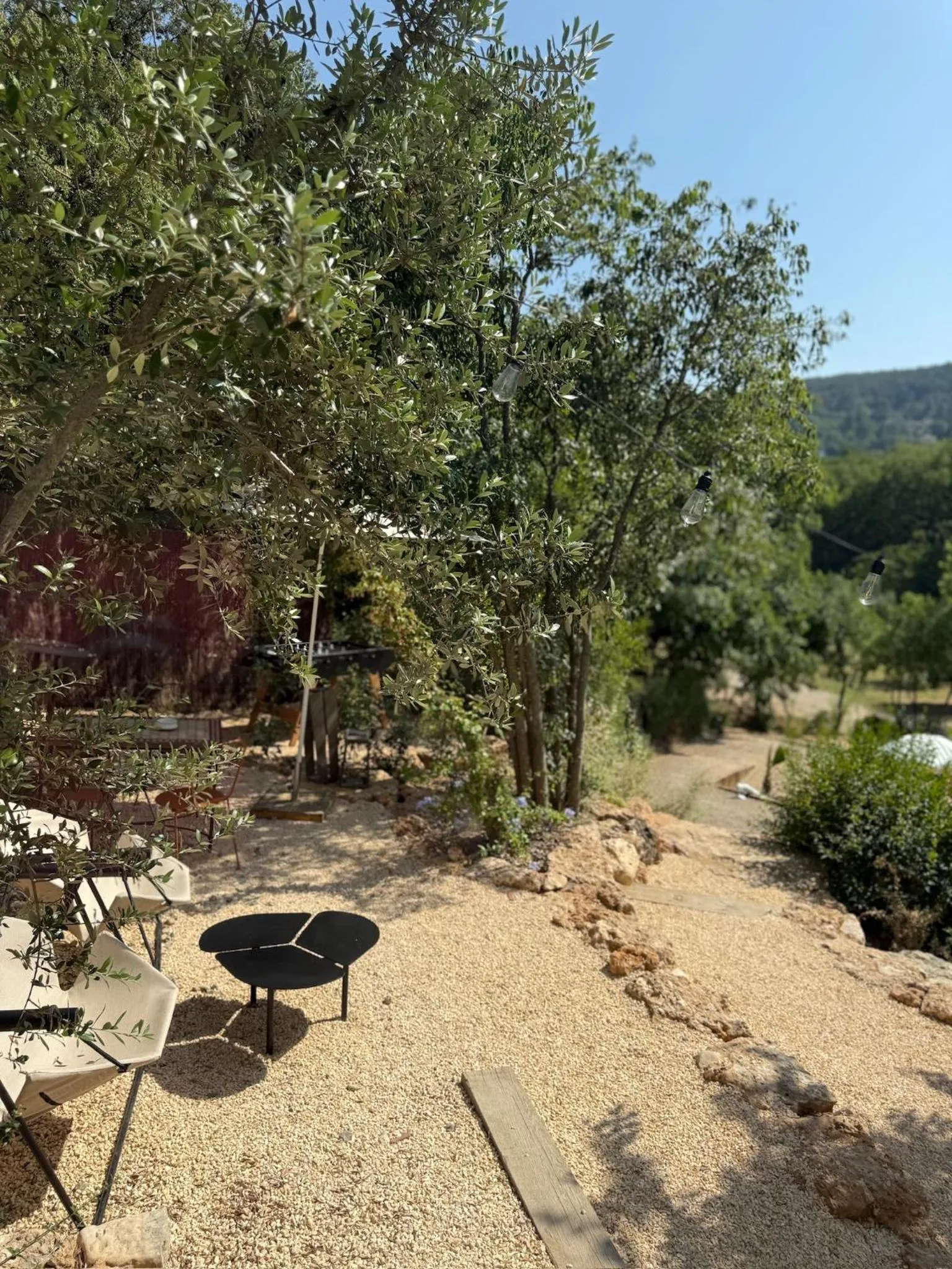 Garden in Chateau Pimo