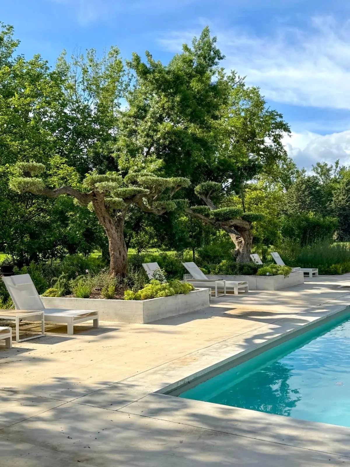 Swimming pool in Chateau Pimo