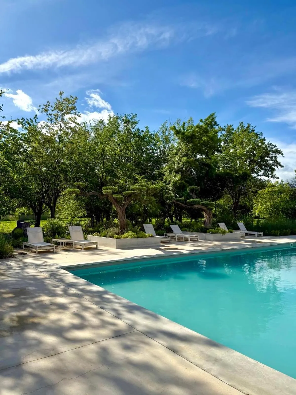 Swimming pool in Chateau Pimo