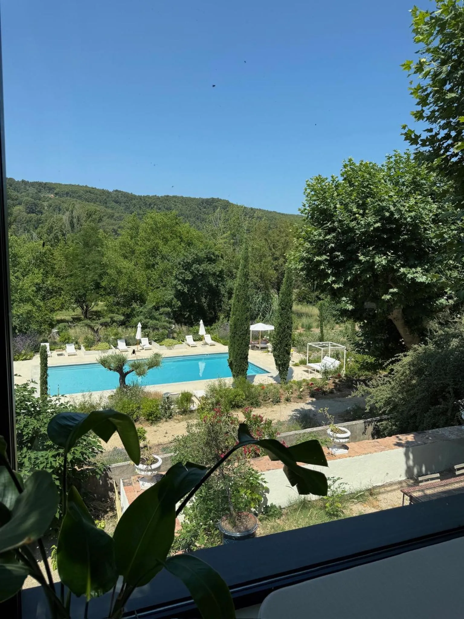 Garden in Chateau Pimo