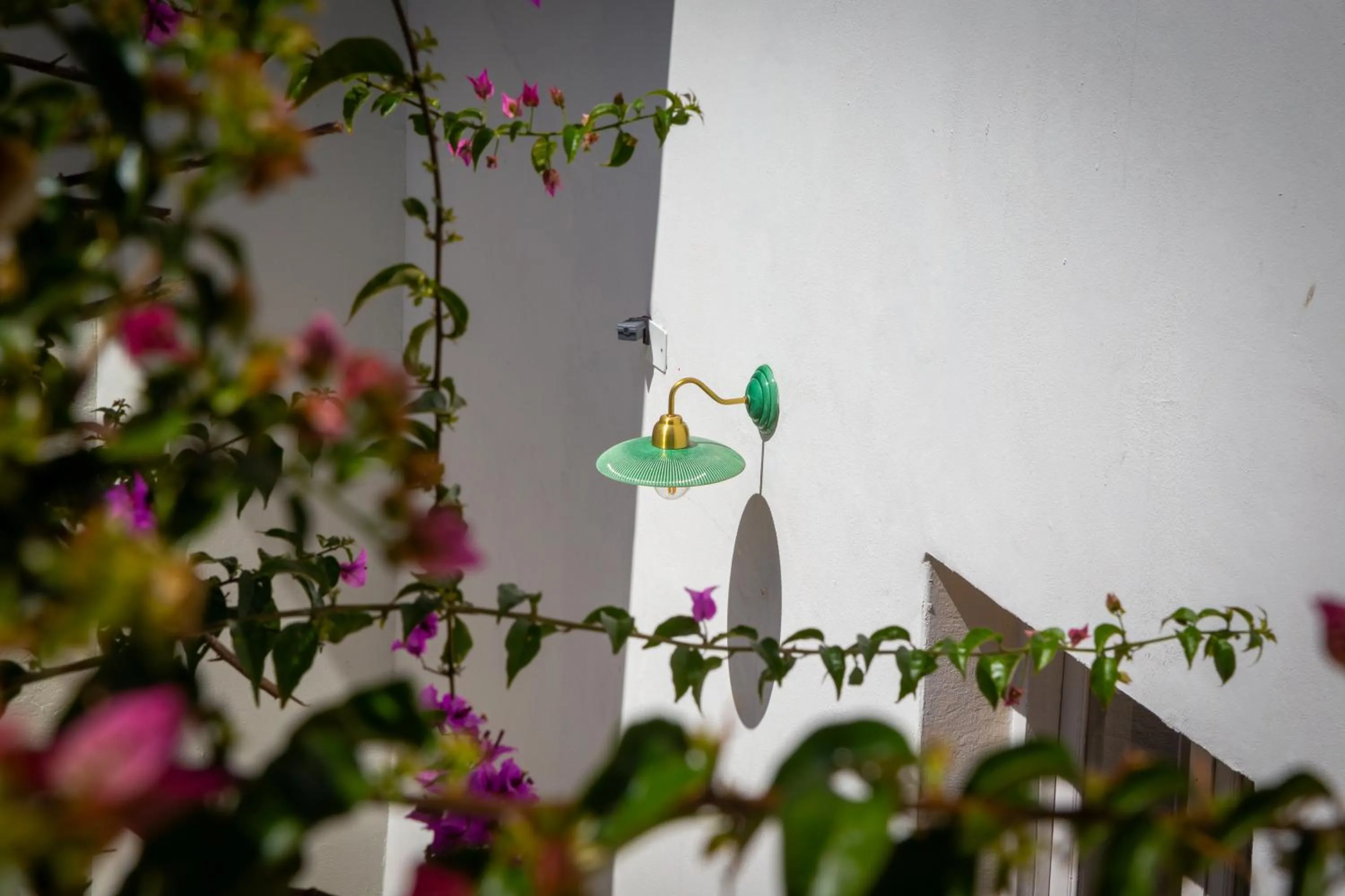 Garden in Casa Lahusen