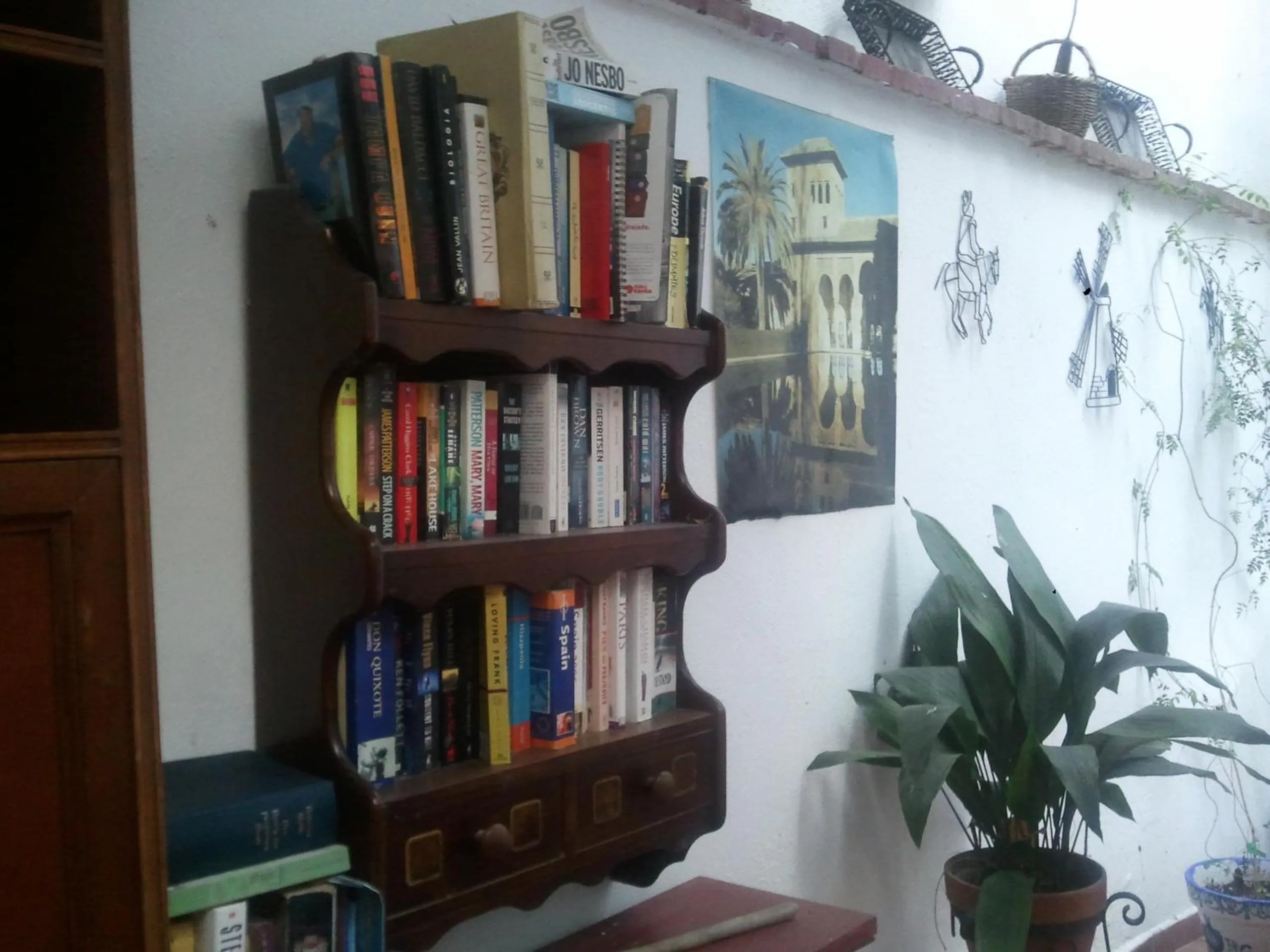 Garden in Hostal Costa Azul