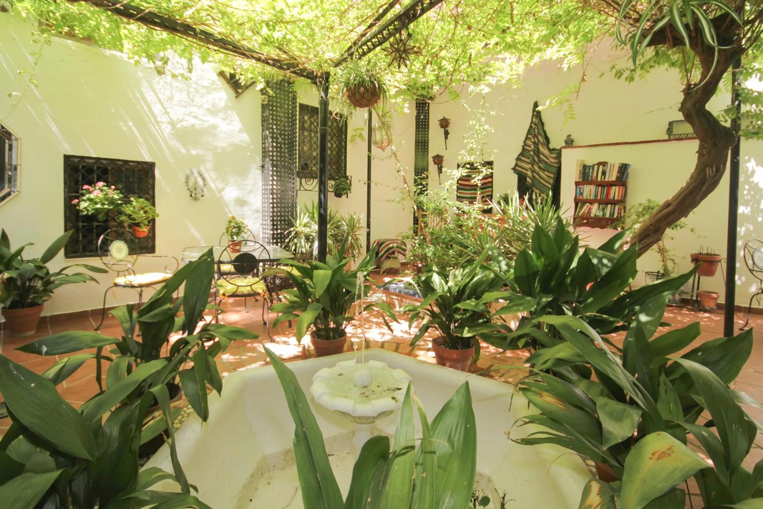 Garden in Hostal Costa Azul