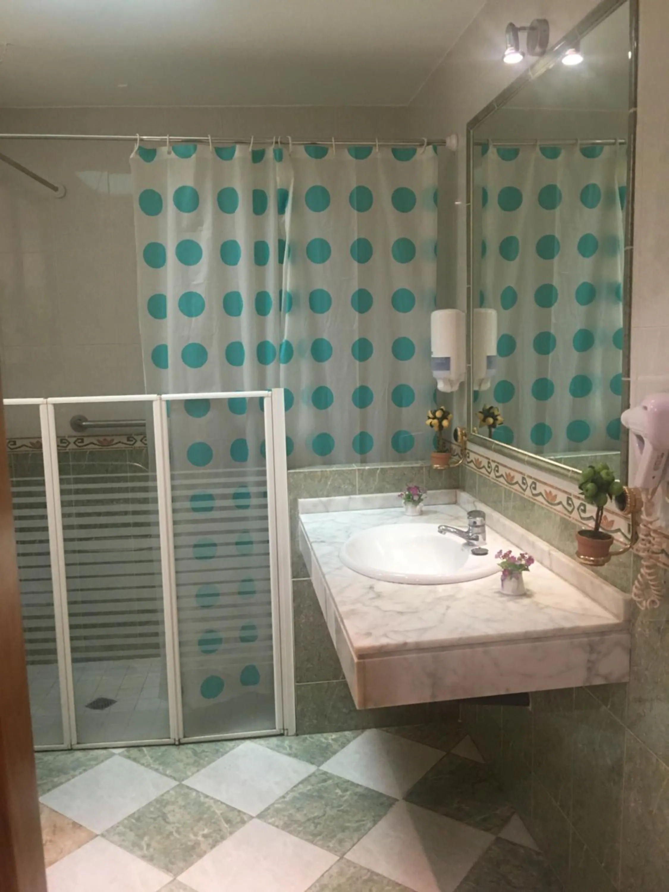 Facility for disabled guests in Hostal Costa Azul