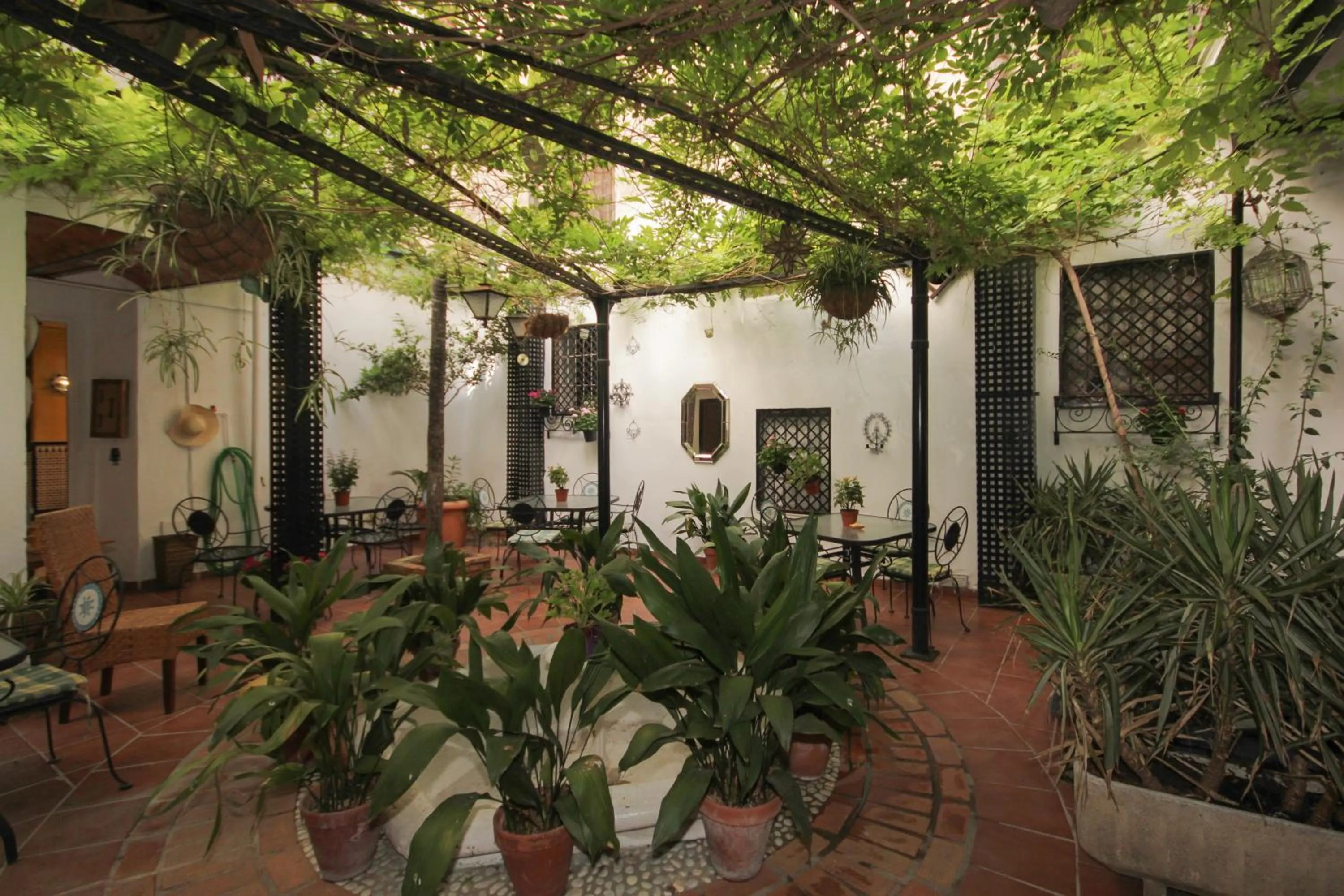 Garden in Hostal Costa Azul