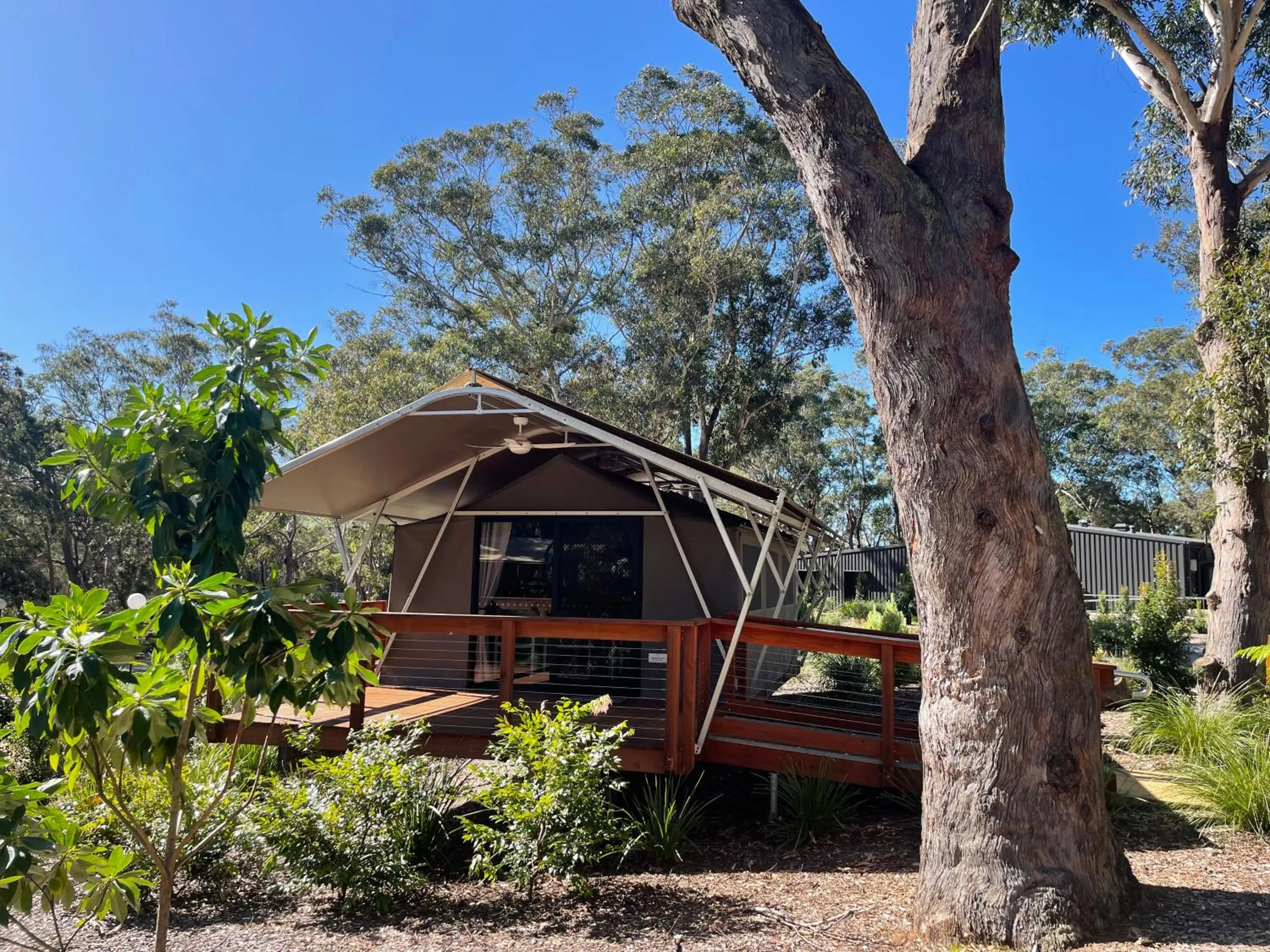 Port Stephens Koala Sanctuary