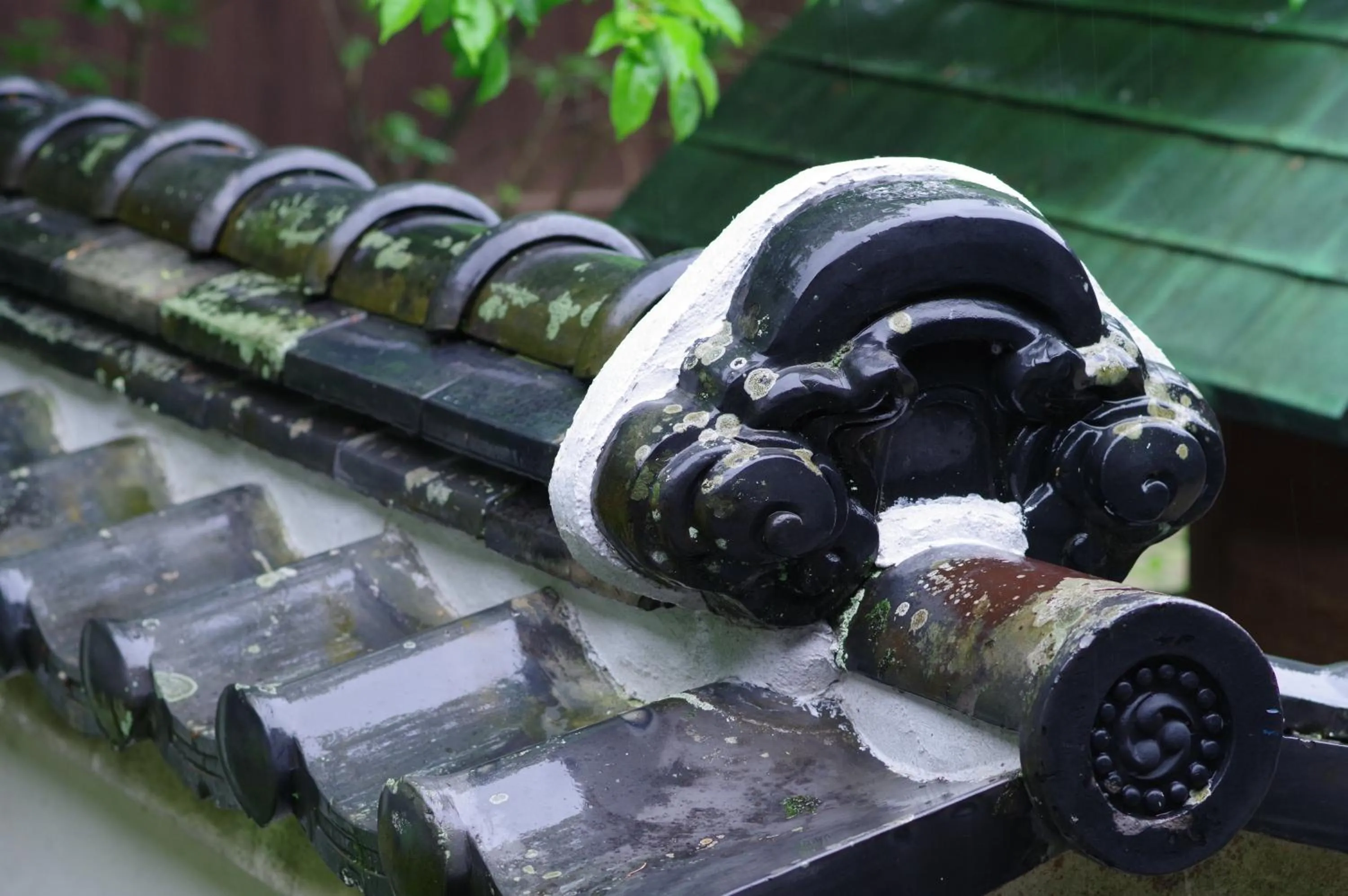 Natural landscape in Ohana