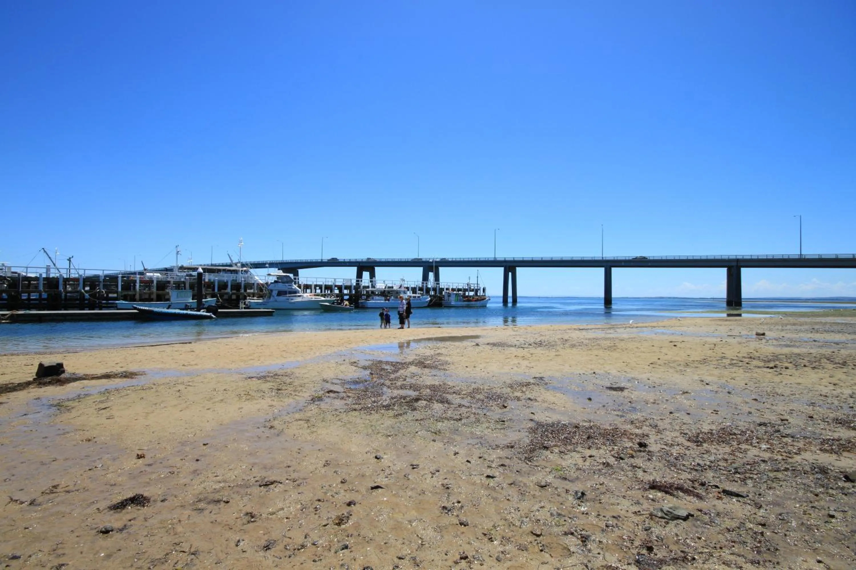 Pelicans Motel San Remo