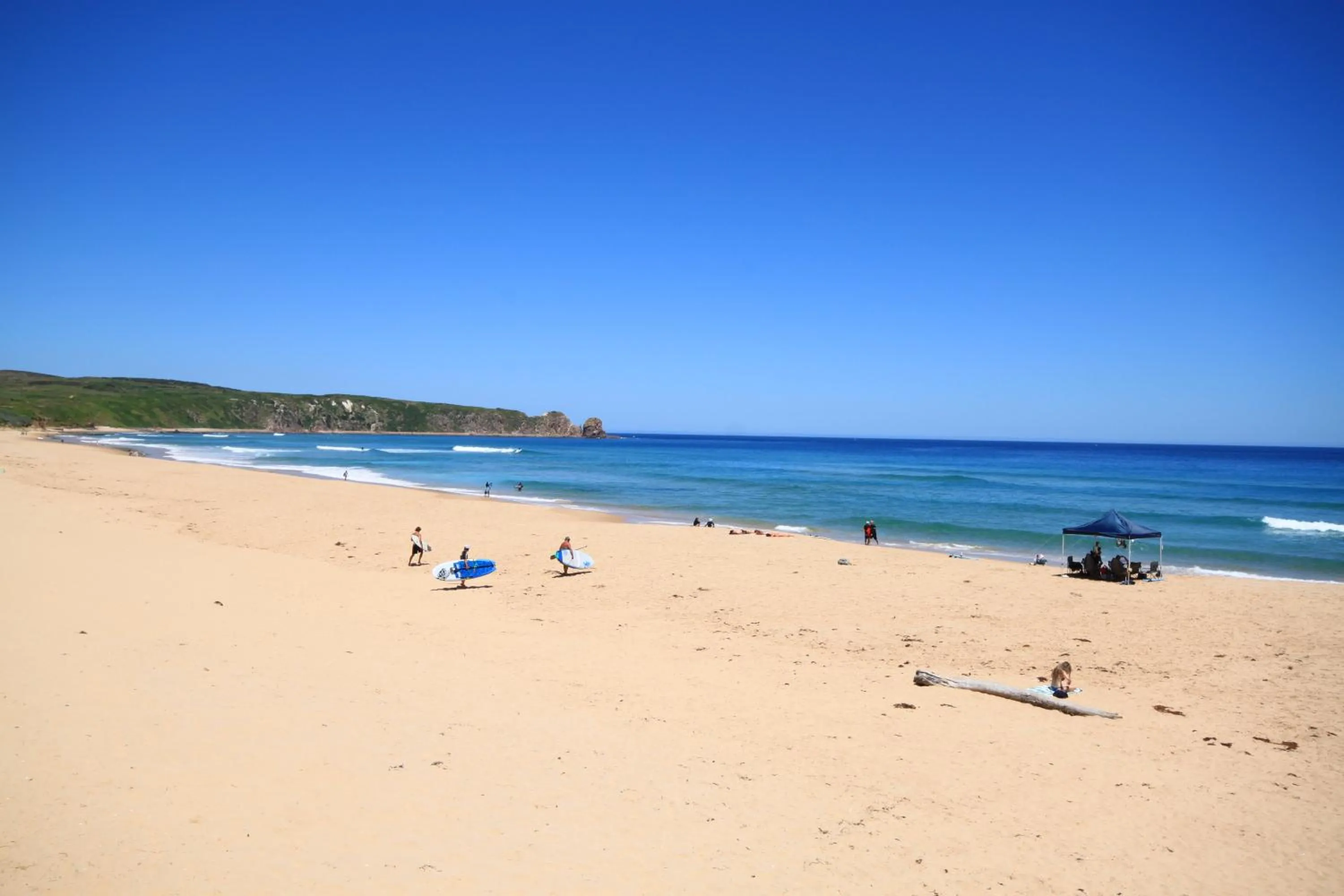 Pelicans Motel San Remo