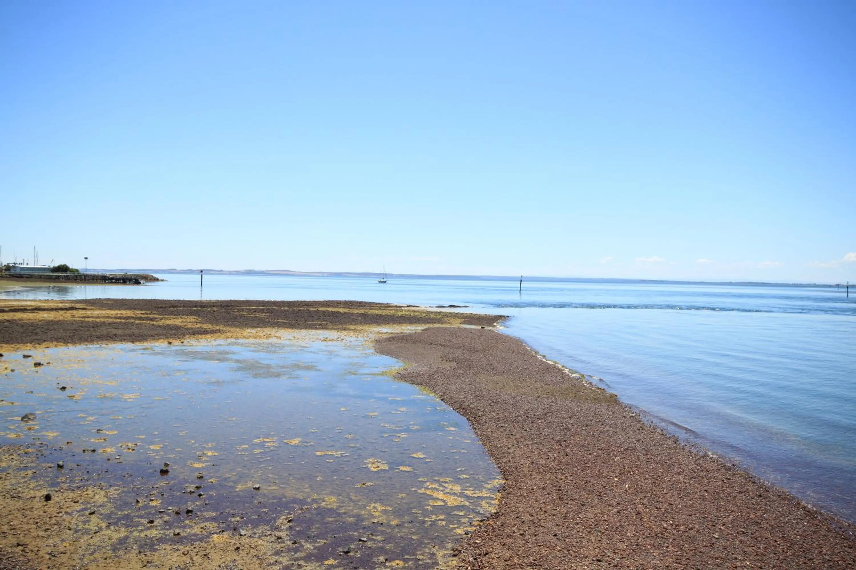 Pelicans Motel San Remo