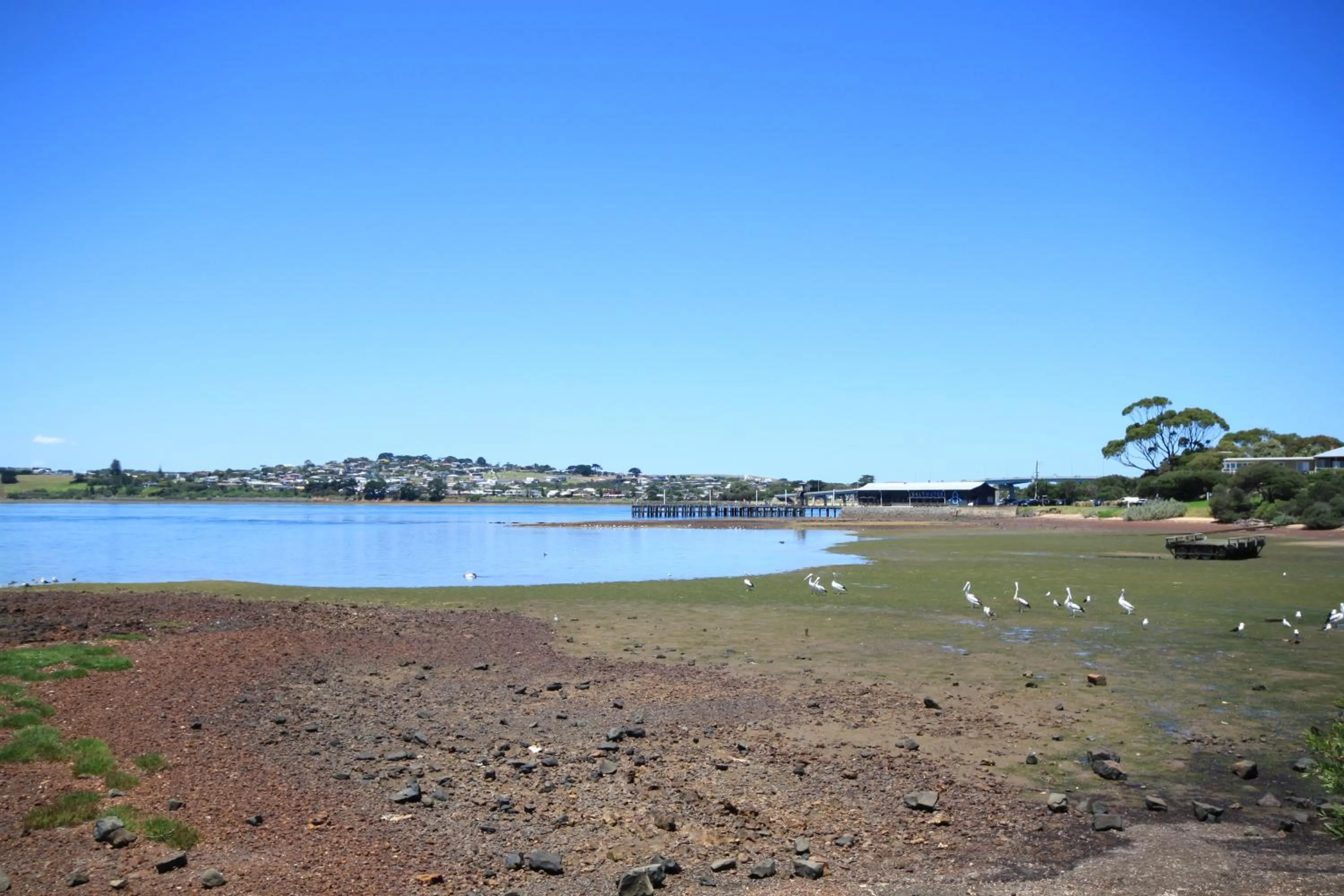 Pelicans Motel San Remo