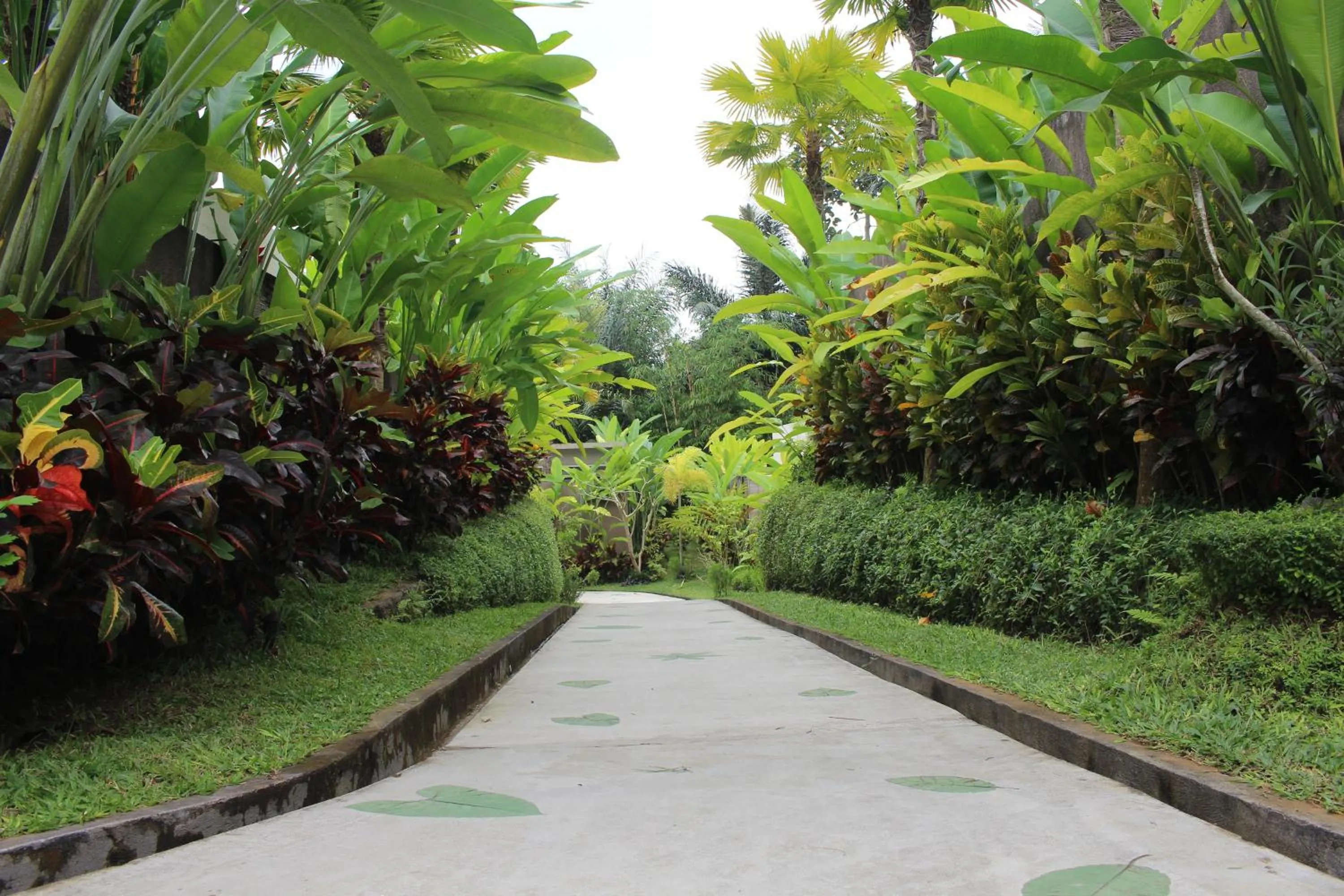 Garden in Senetan Villas and Spa Resort