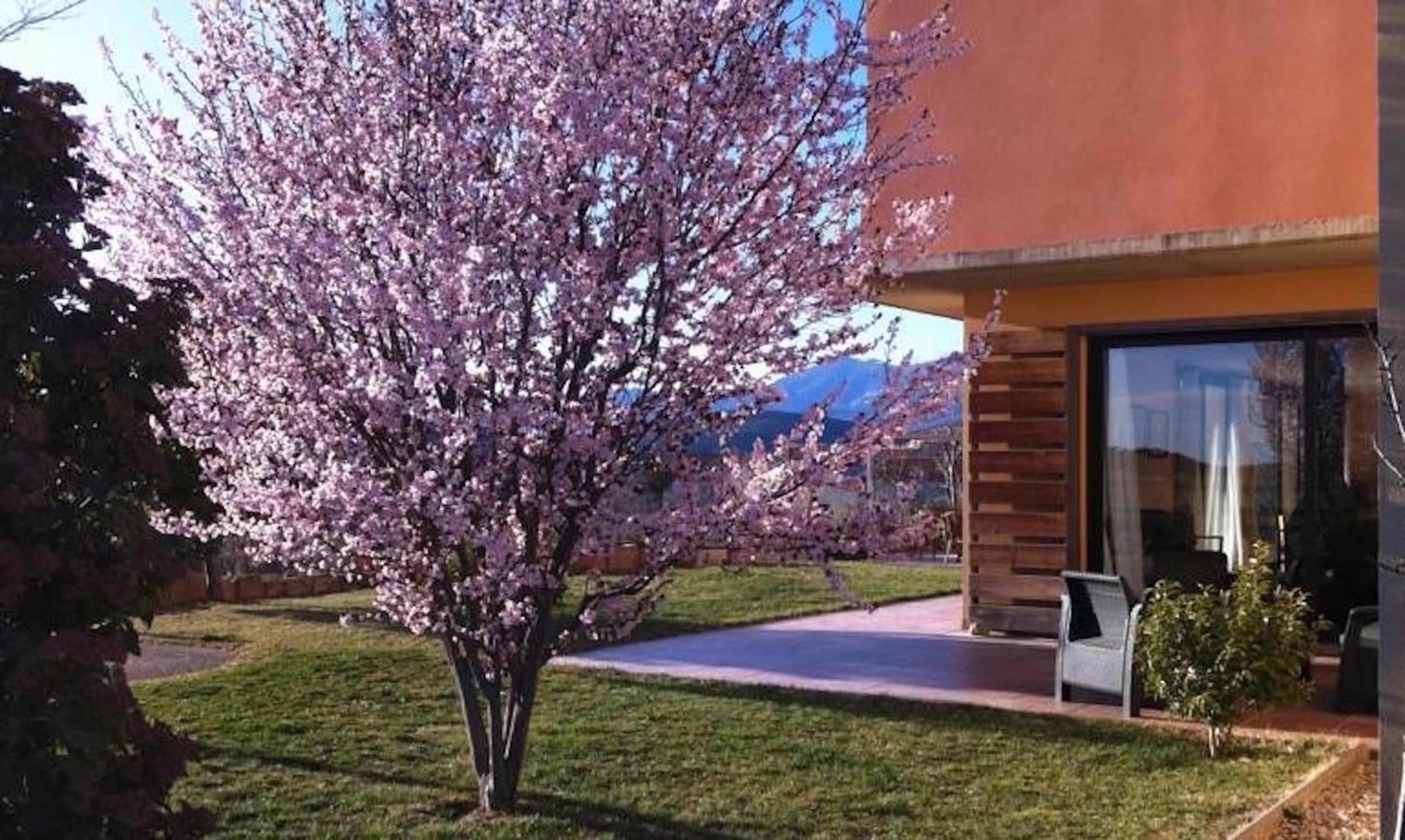 Patio in Hotel Era Conte