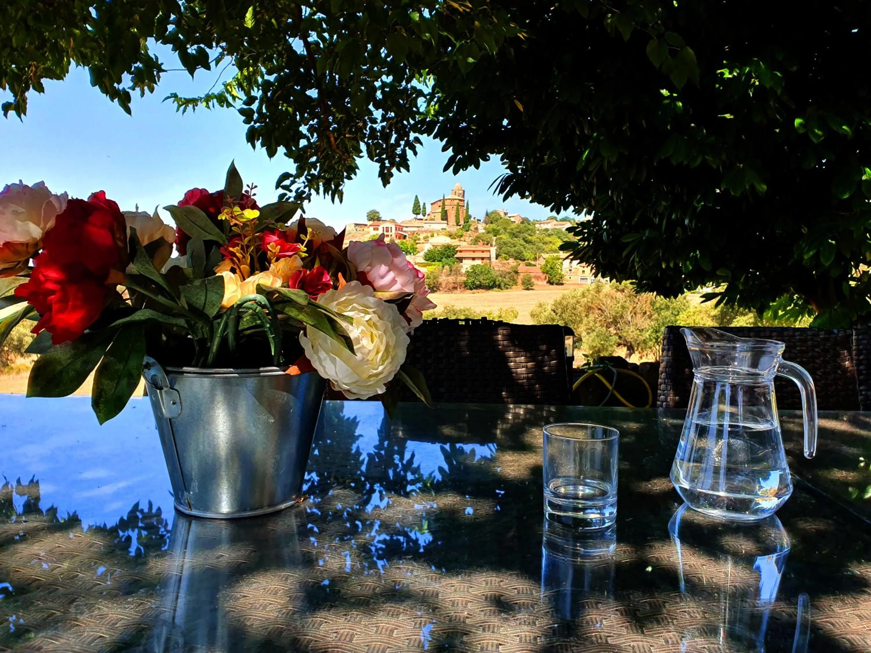 Garden in Hotel Era Conte
