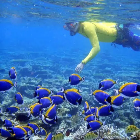 Snorkeling in Bon Abri Maldives