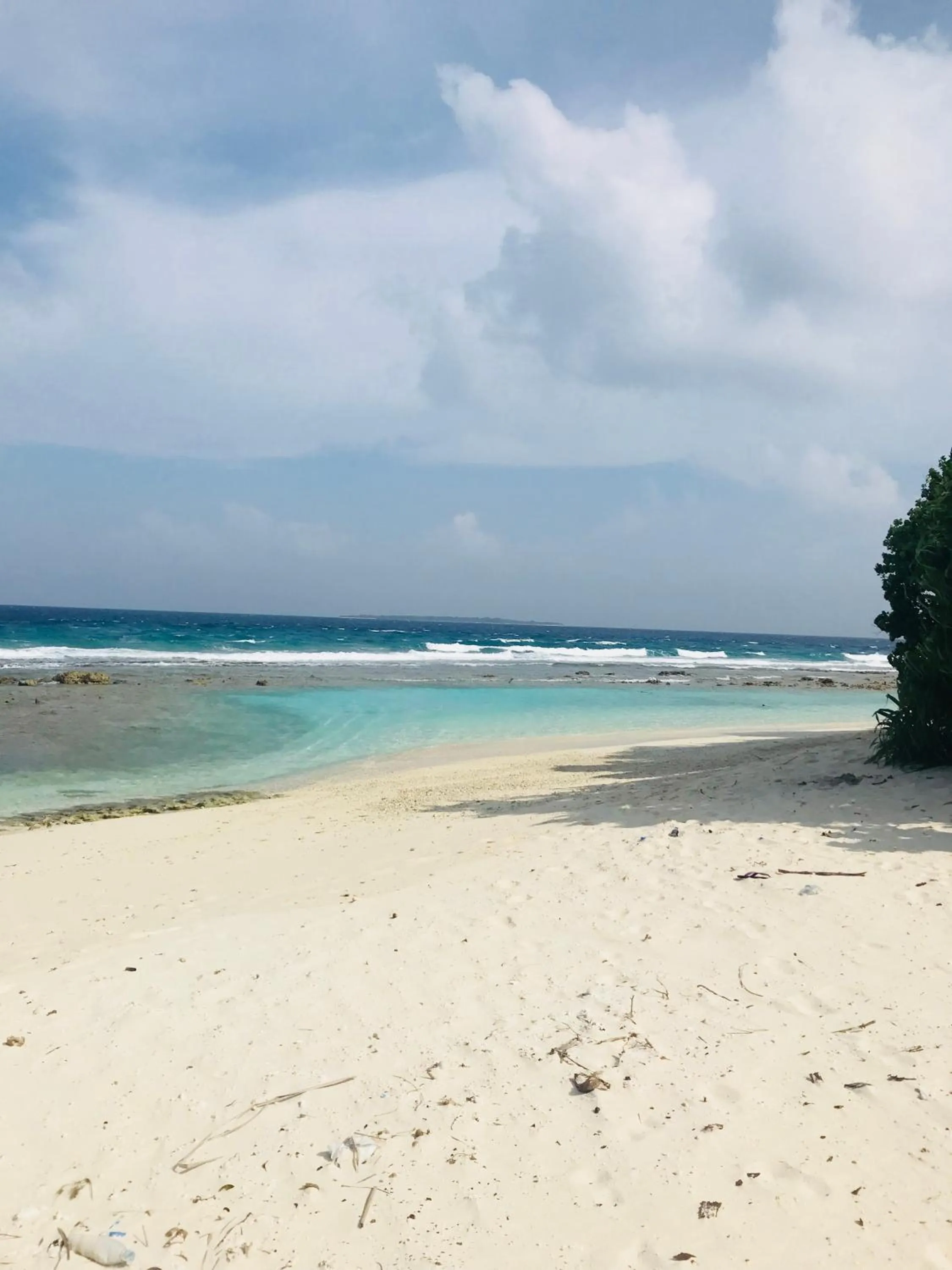 Natural landscape in Bon Abri Maldives