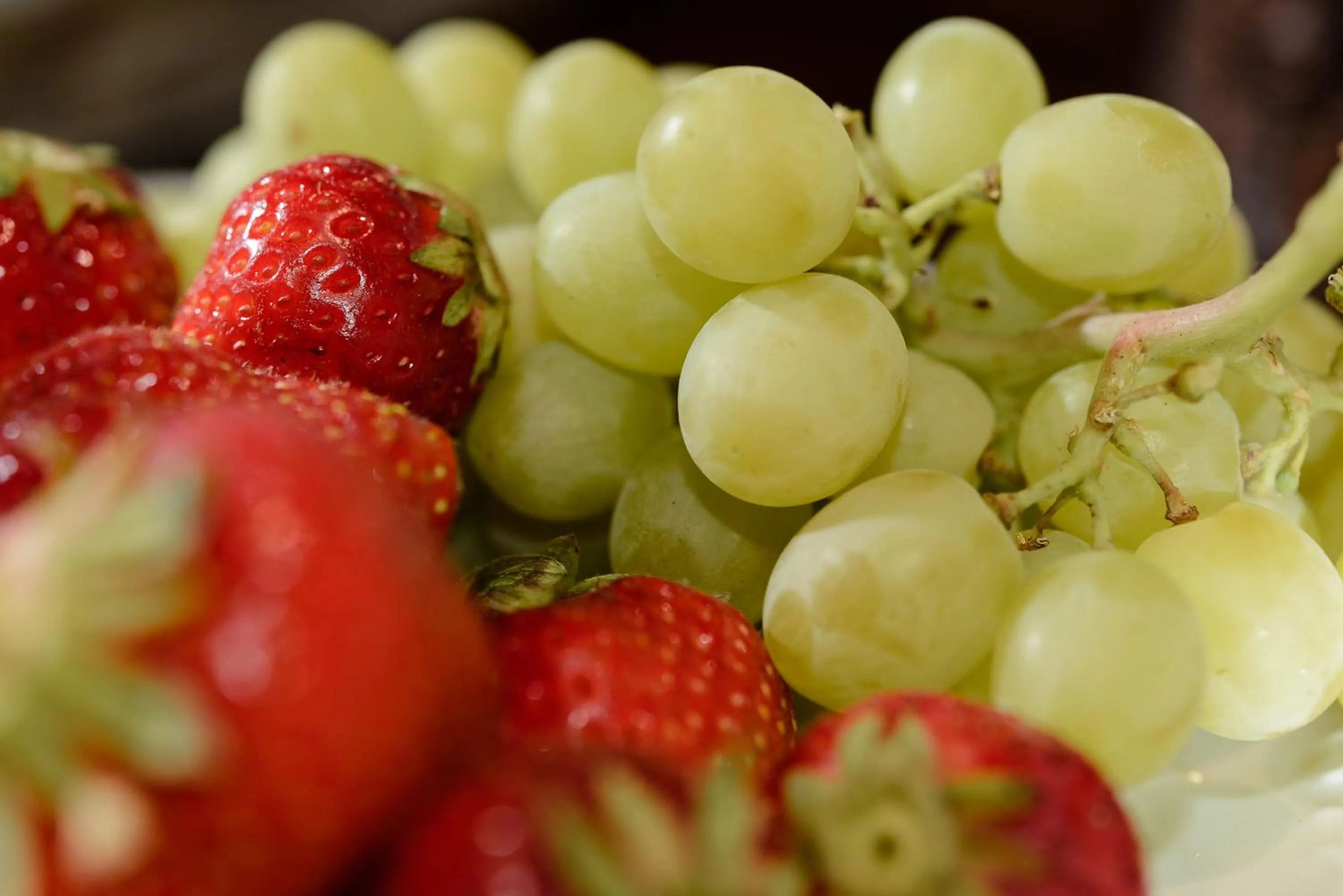 Food close-up in Dorfmeister Business Hotel B&B