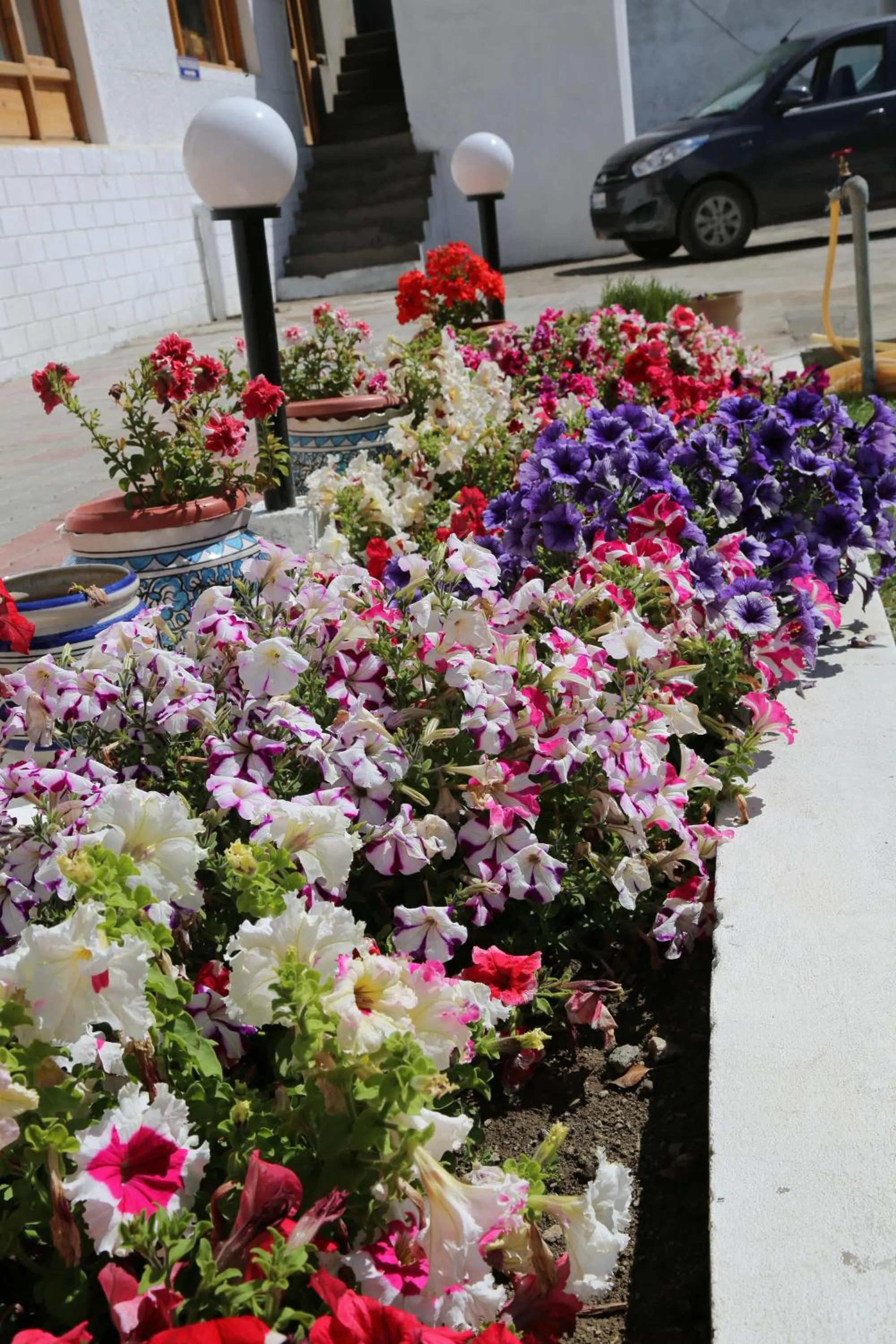 Spring in Ladakh Himalayan Retreat