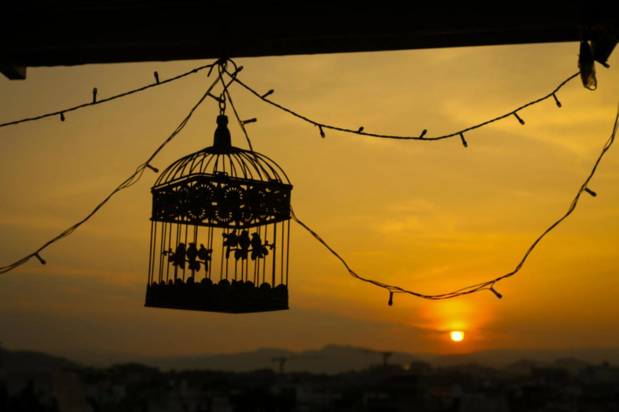 Multiple Stories, Udaipur