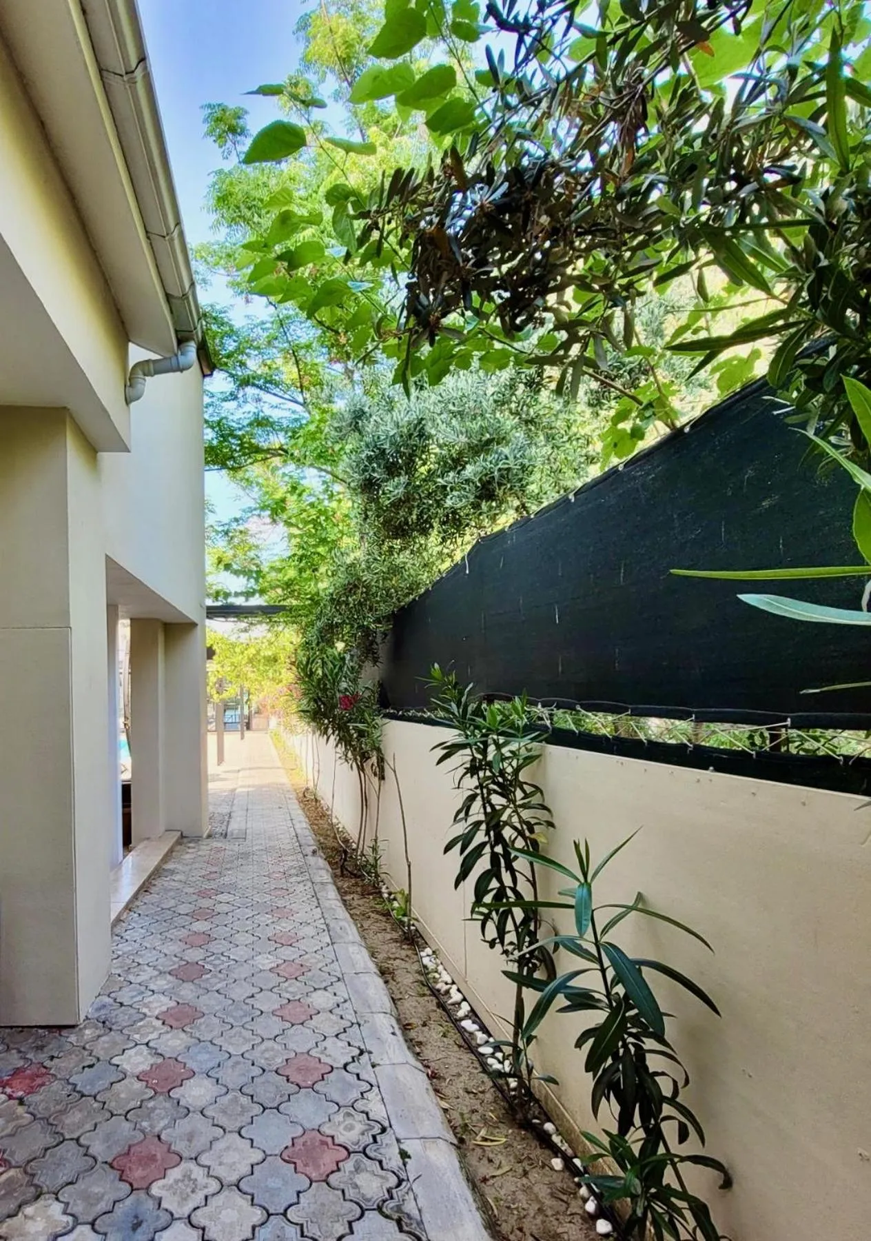 Property building in Arp Dalyan