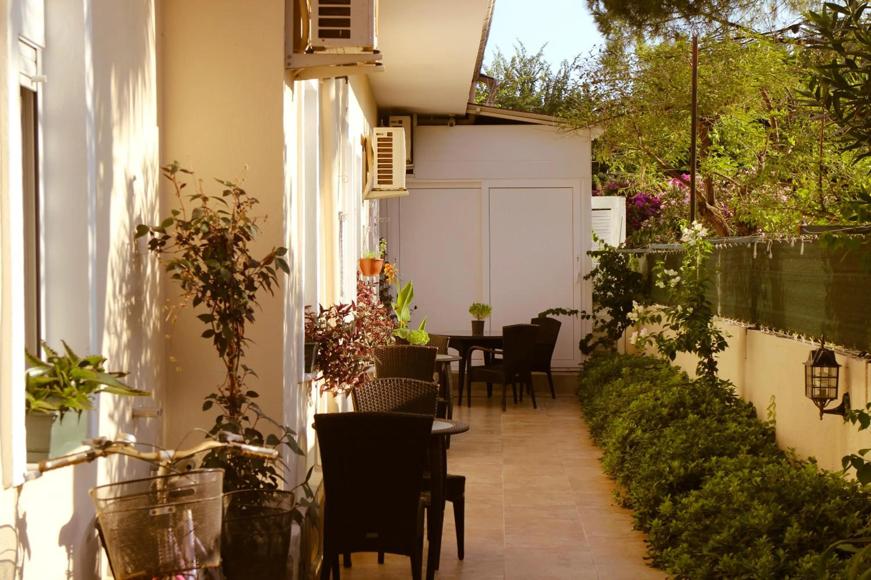 Property building in Arp Dalyan