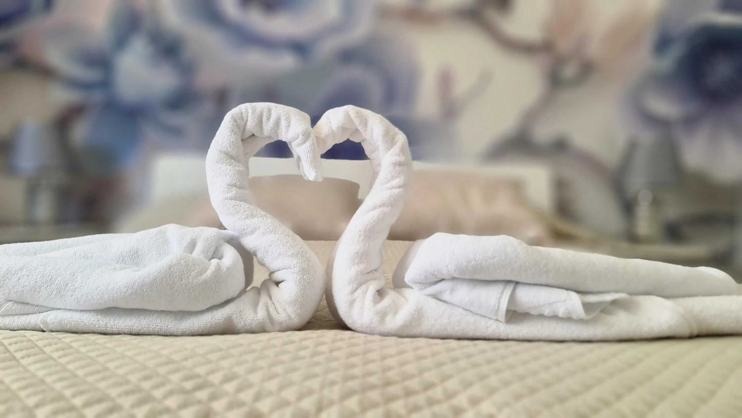 Photo of the whole room in Hostel Jardins de São Luís