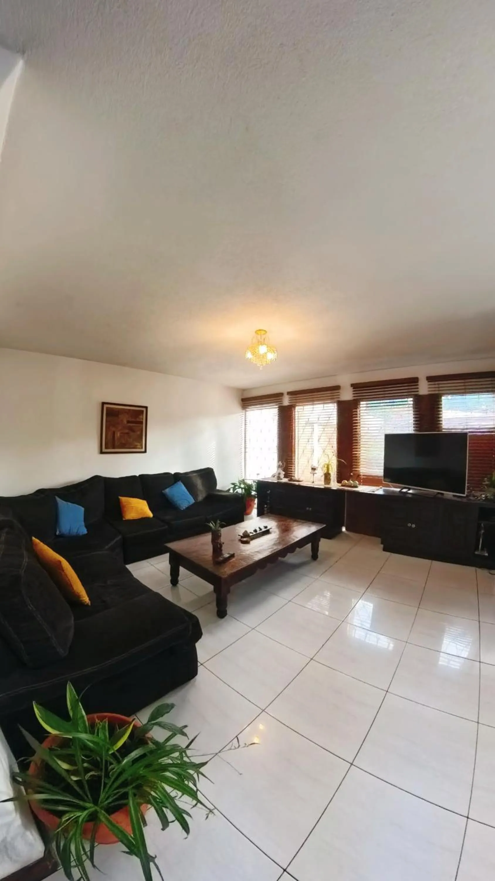 TV and multimedia in Ole España